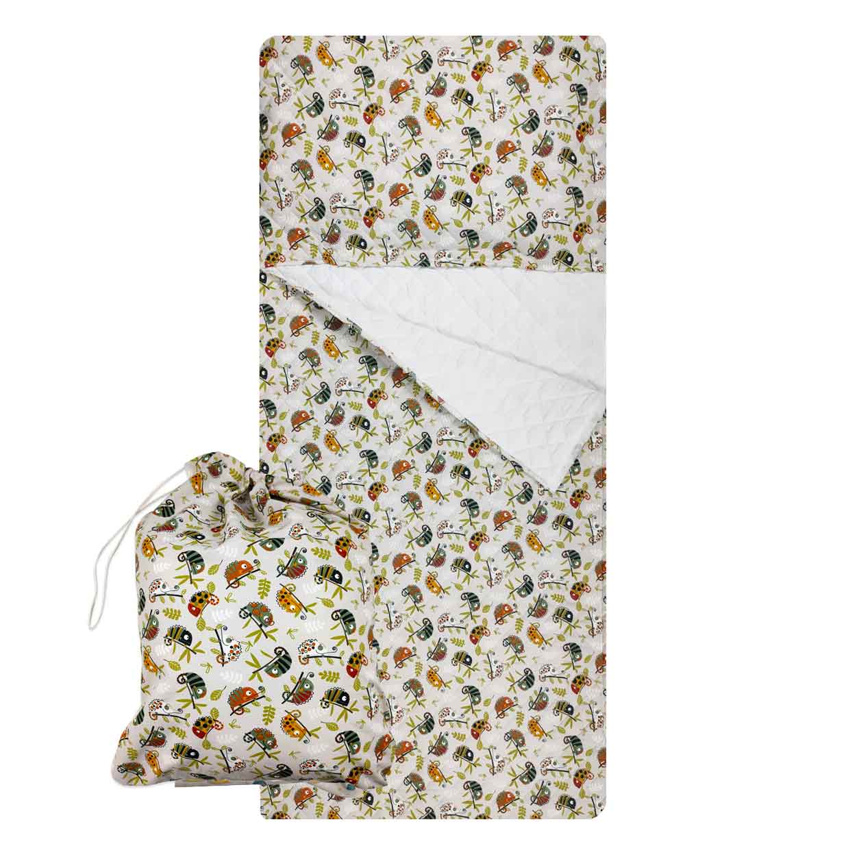 set-asilo-camaleonti-bordi-arrotondati