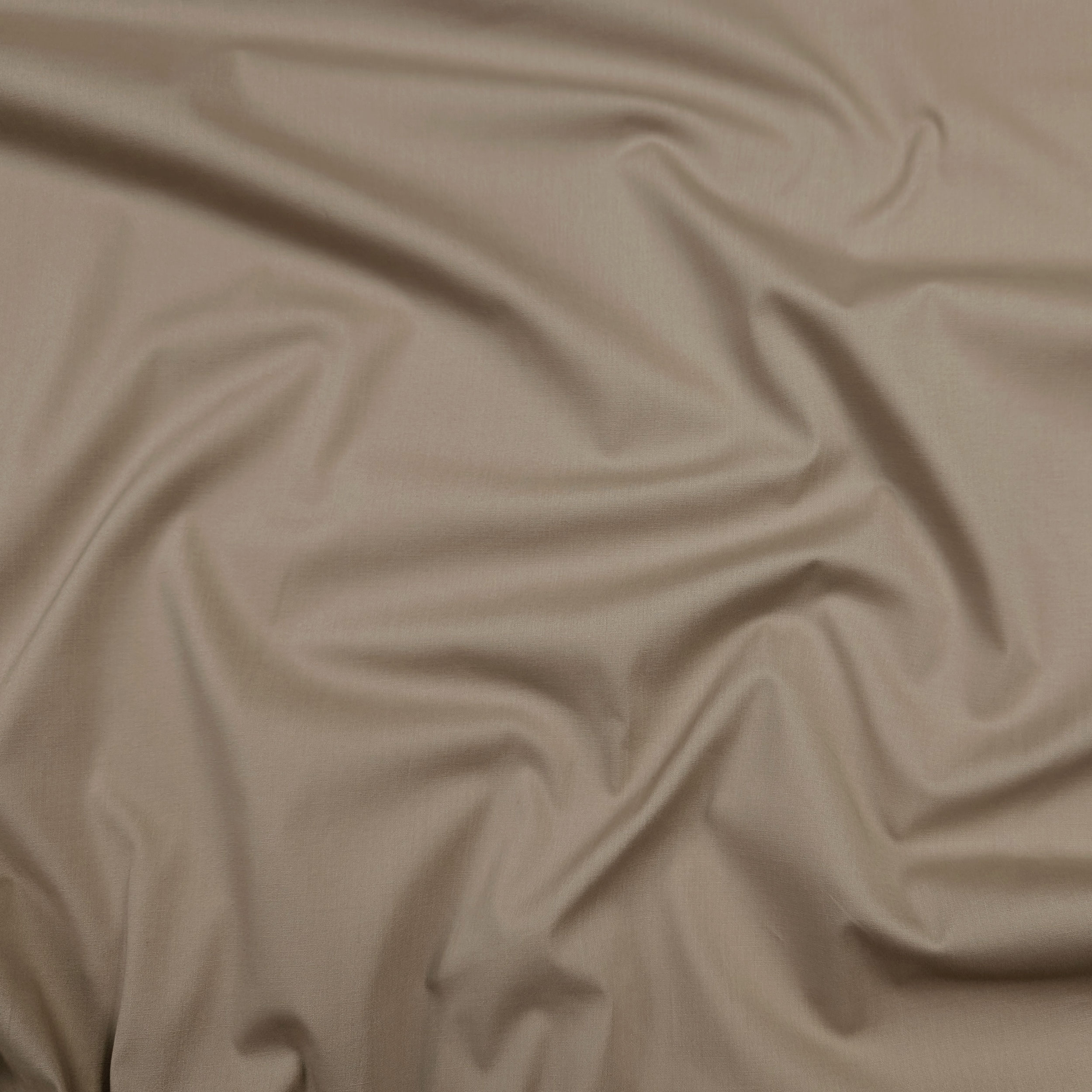 Stretch Cotton Shirting Image
