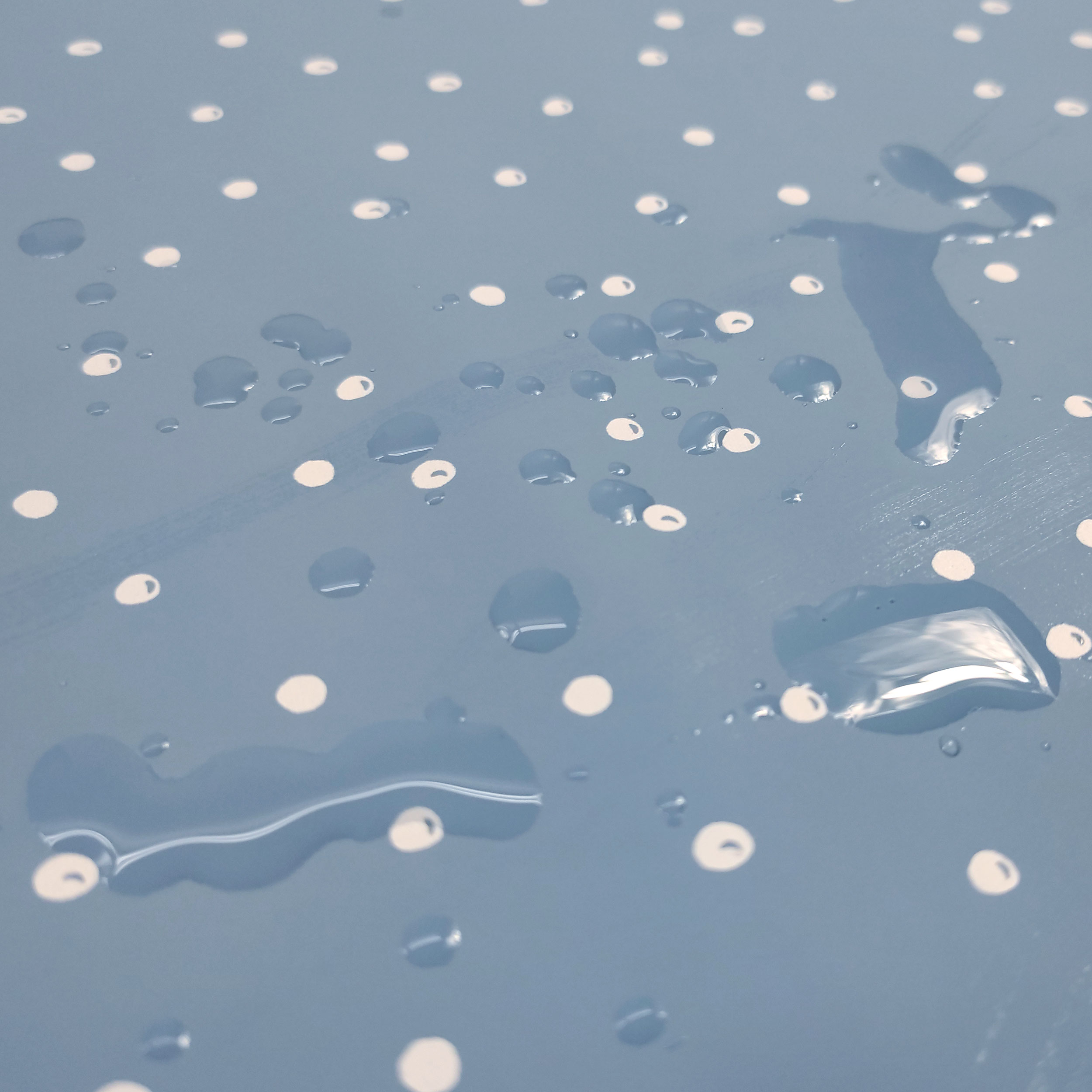 Mackintosh White Polka Dot Pattern Celeste Background