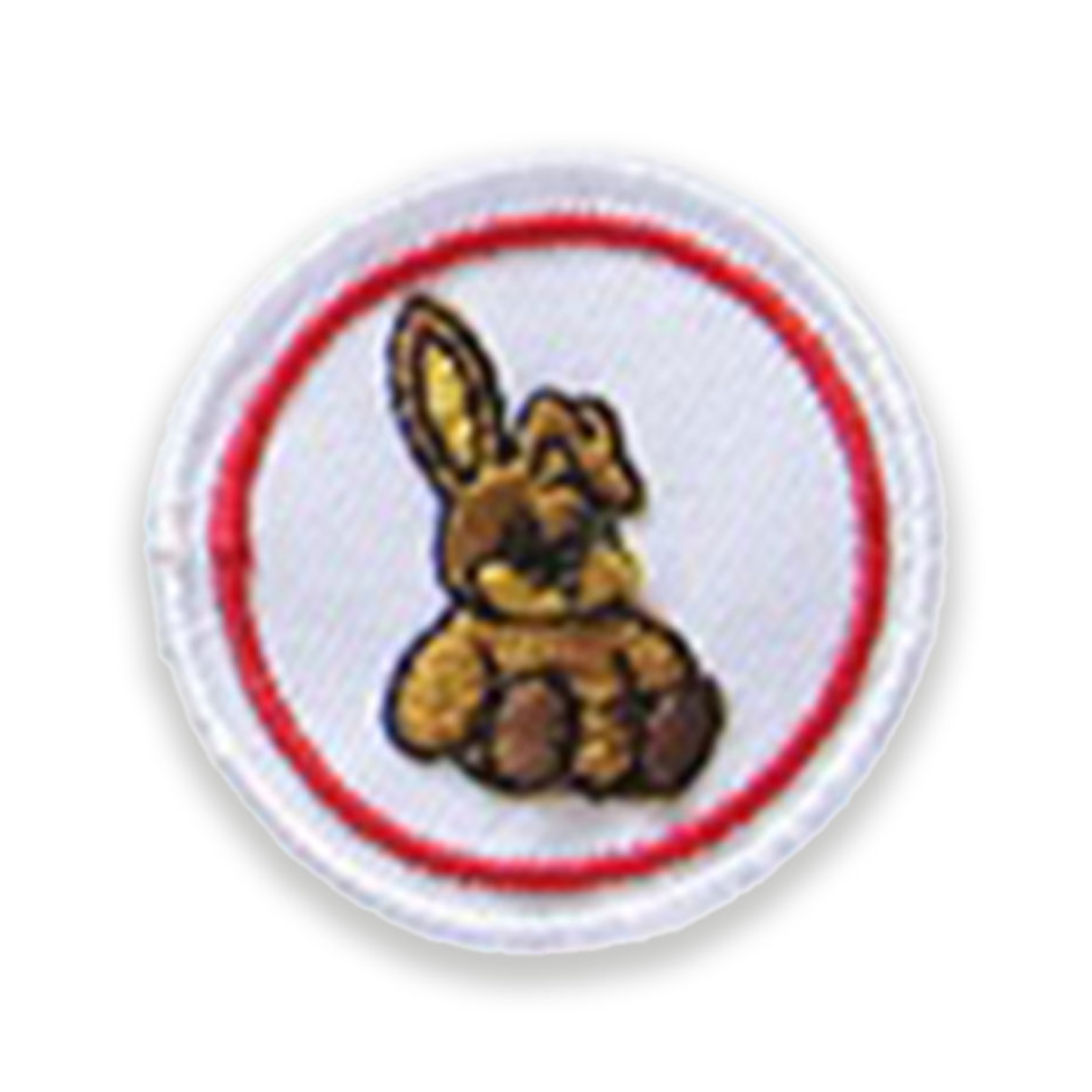 Plush Rabbit