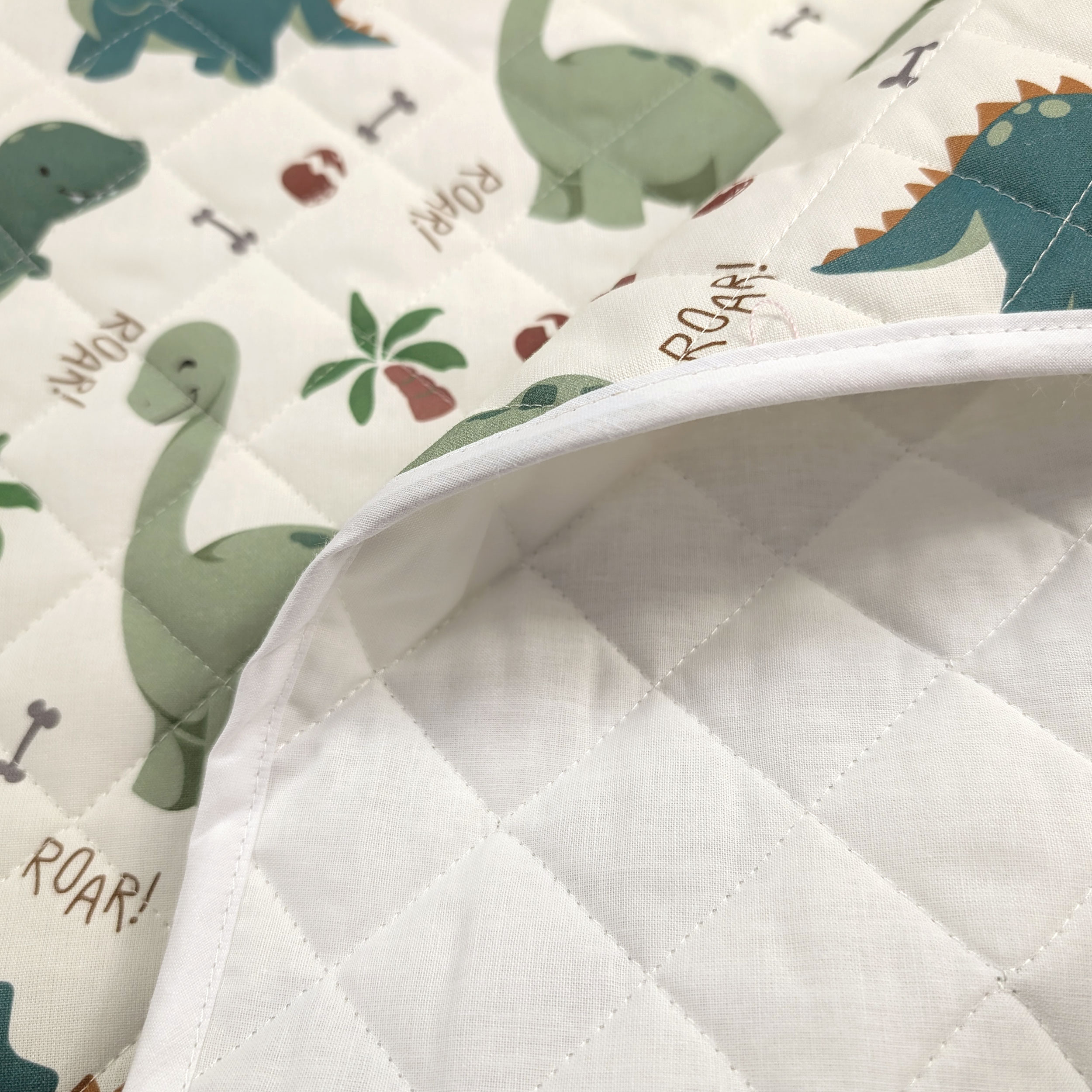 Dinosaur Blanket Image