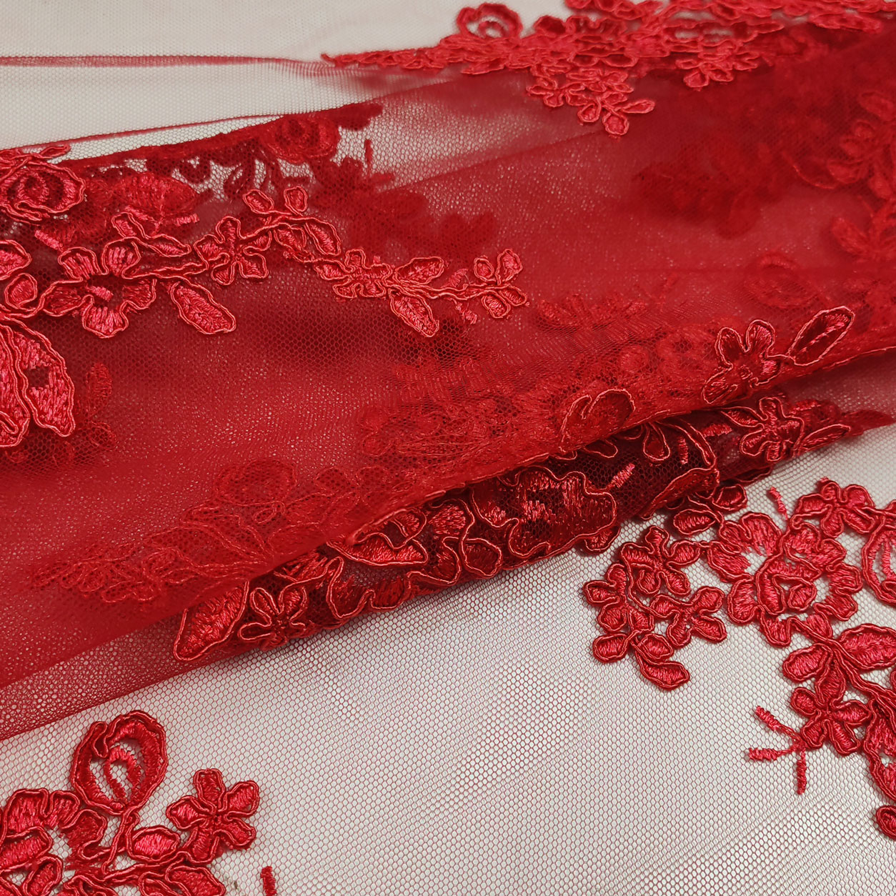 Double Edge Scalloped Lace Image