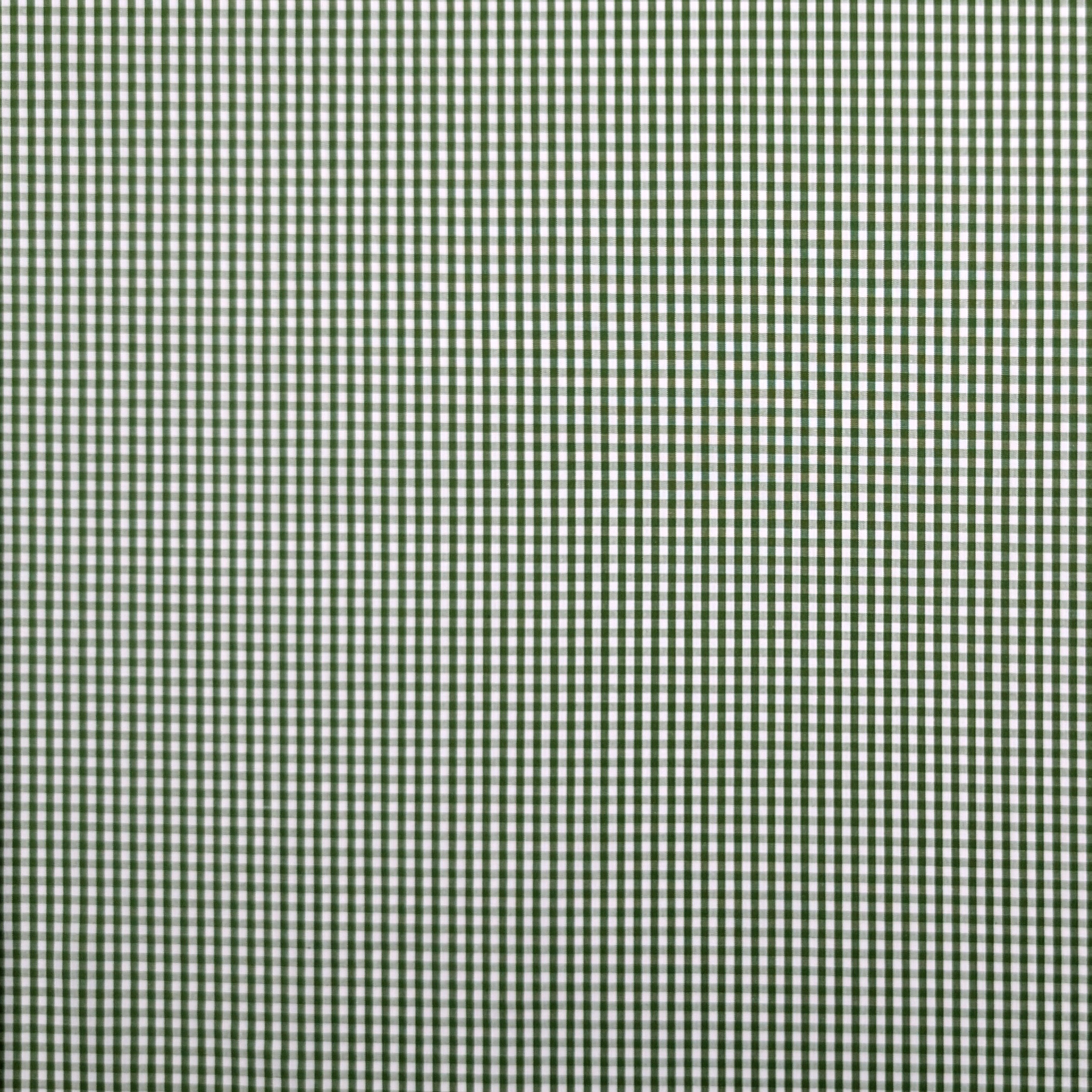 Quadrettini Cotton for Shirts Green Image