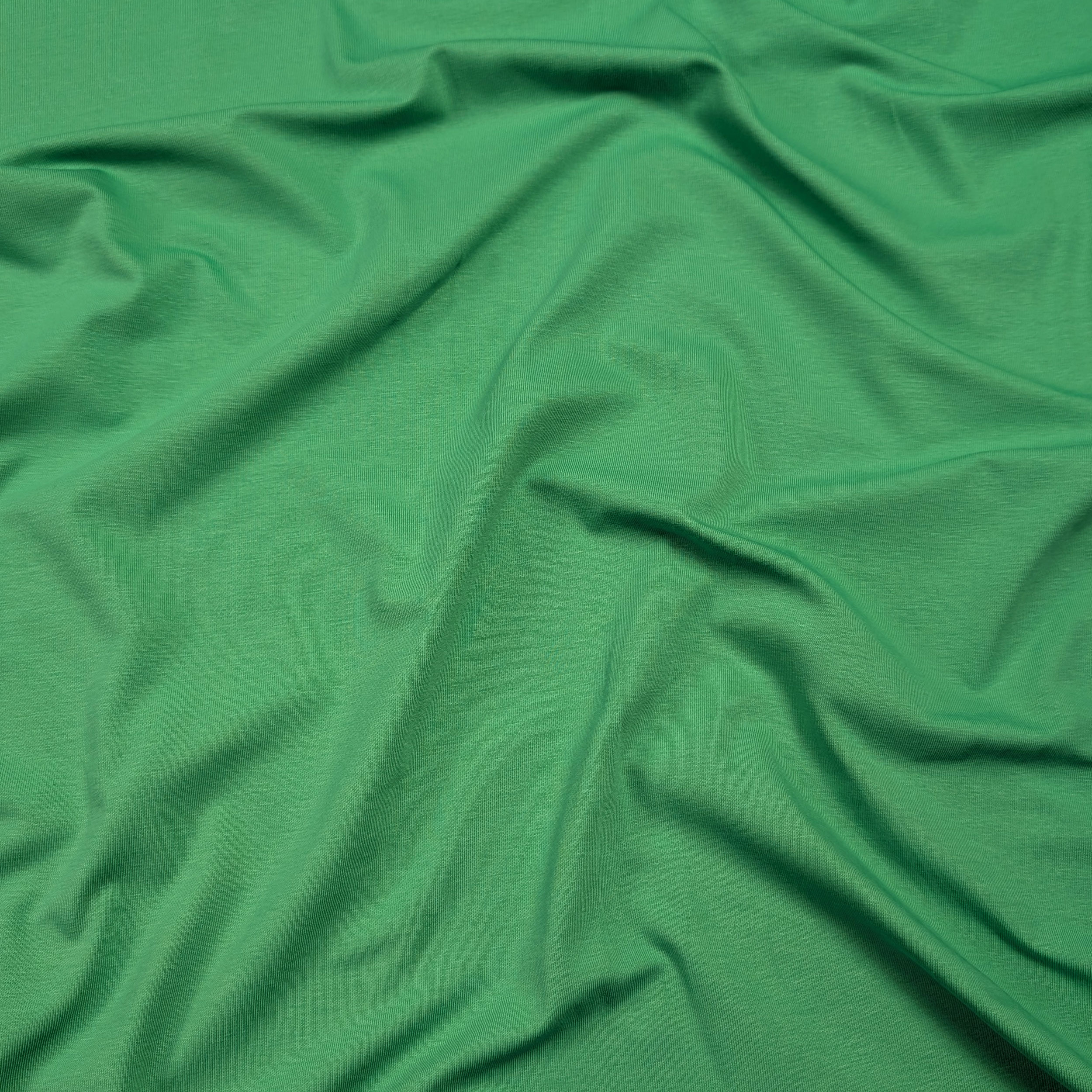 Green Cotton Jersey Image