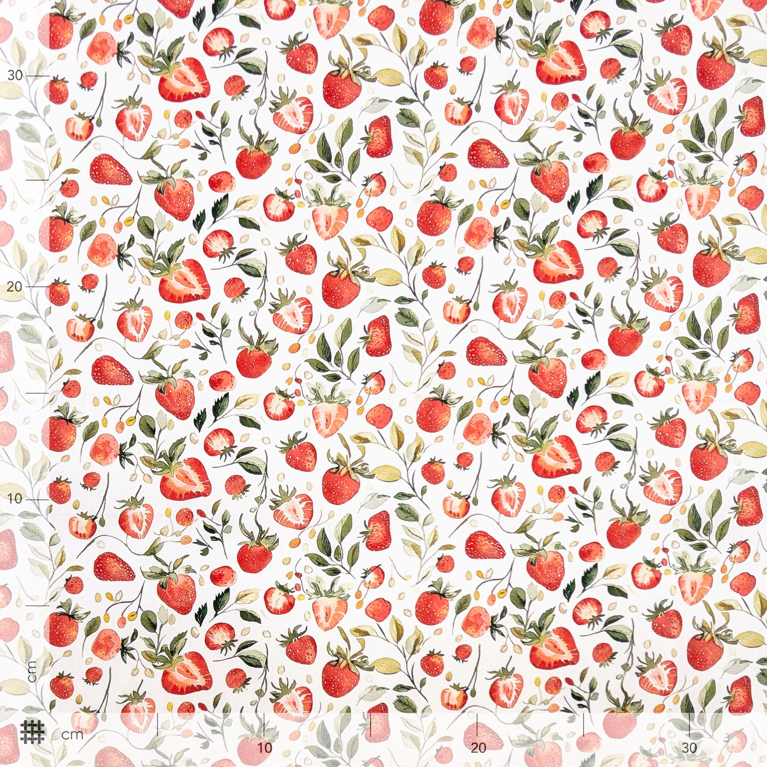 Strawberry Cotton Poplin Image