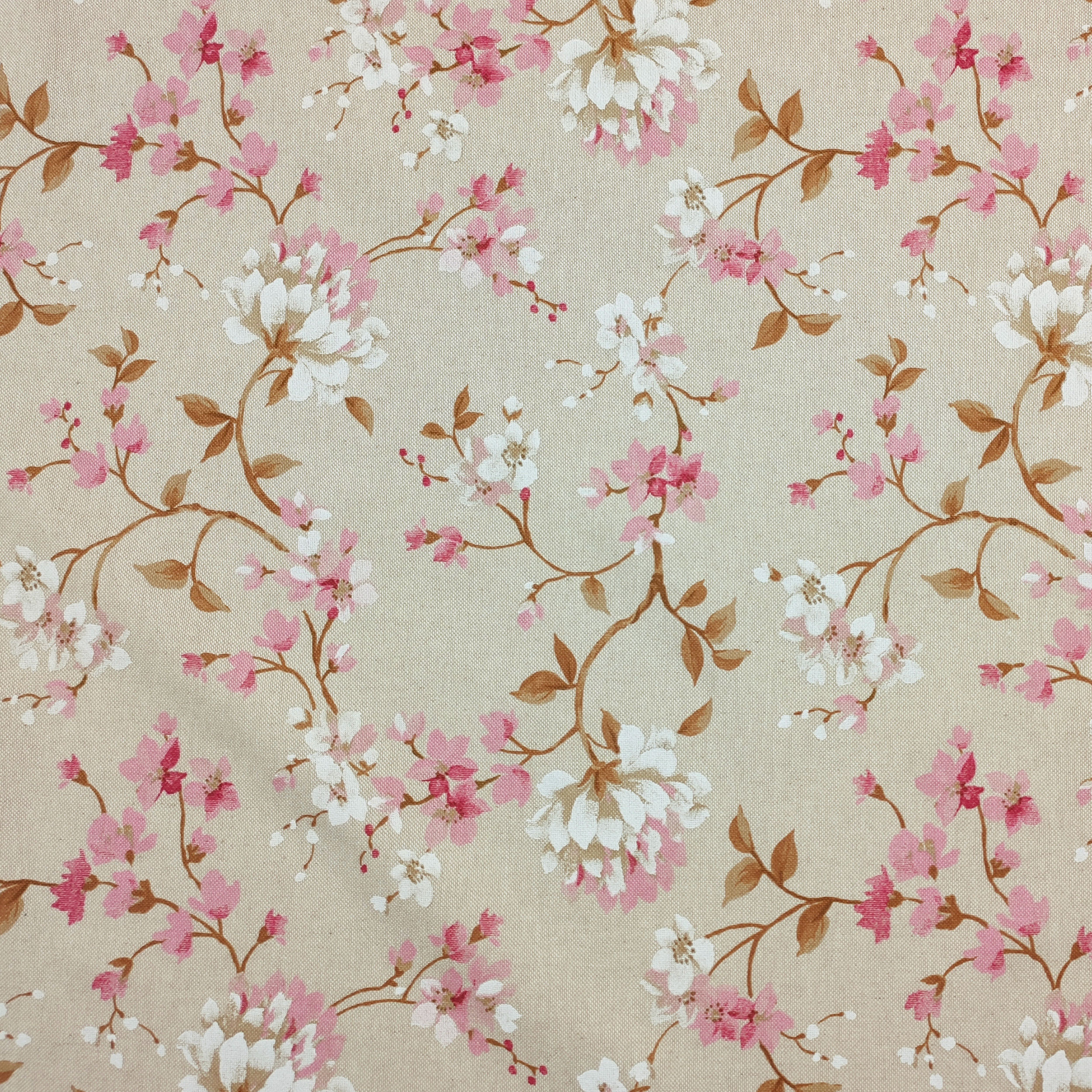 Panama Pink Cherry Blossom