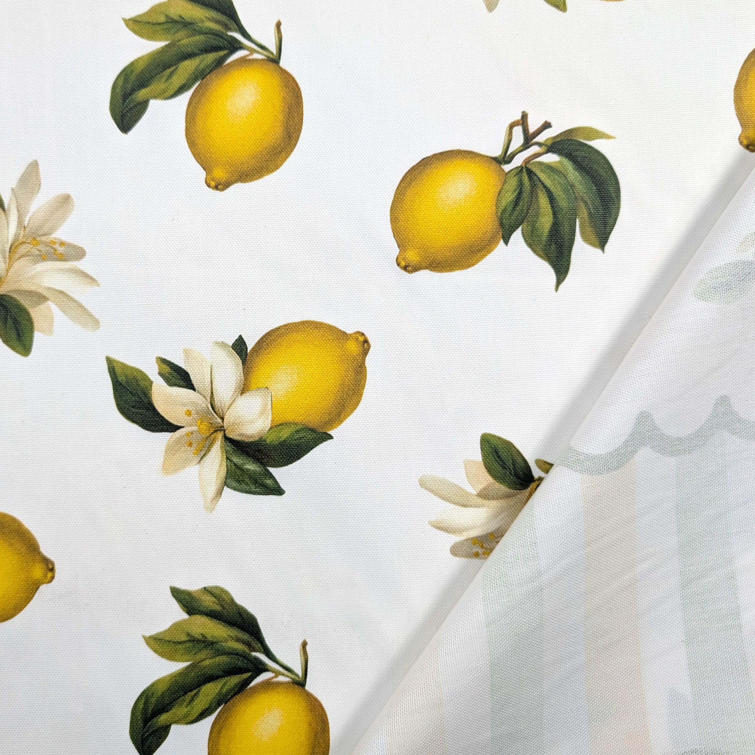 Tissu pour nappe d'été en résine de citron Image