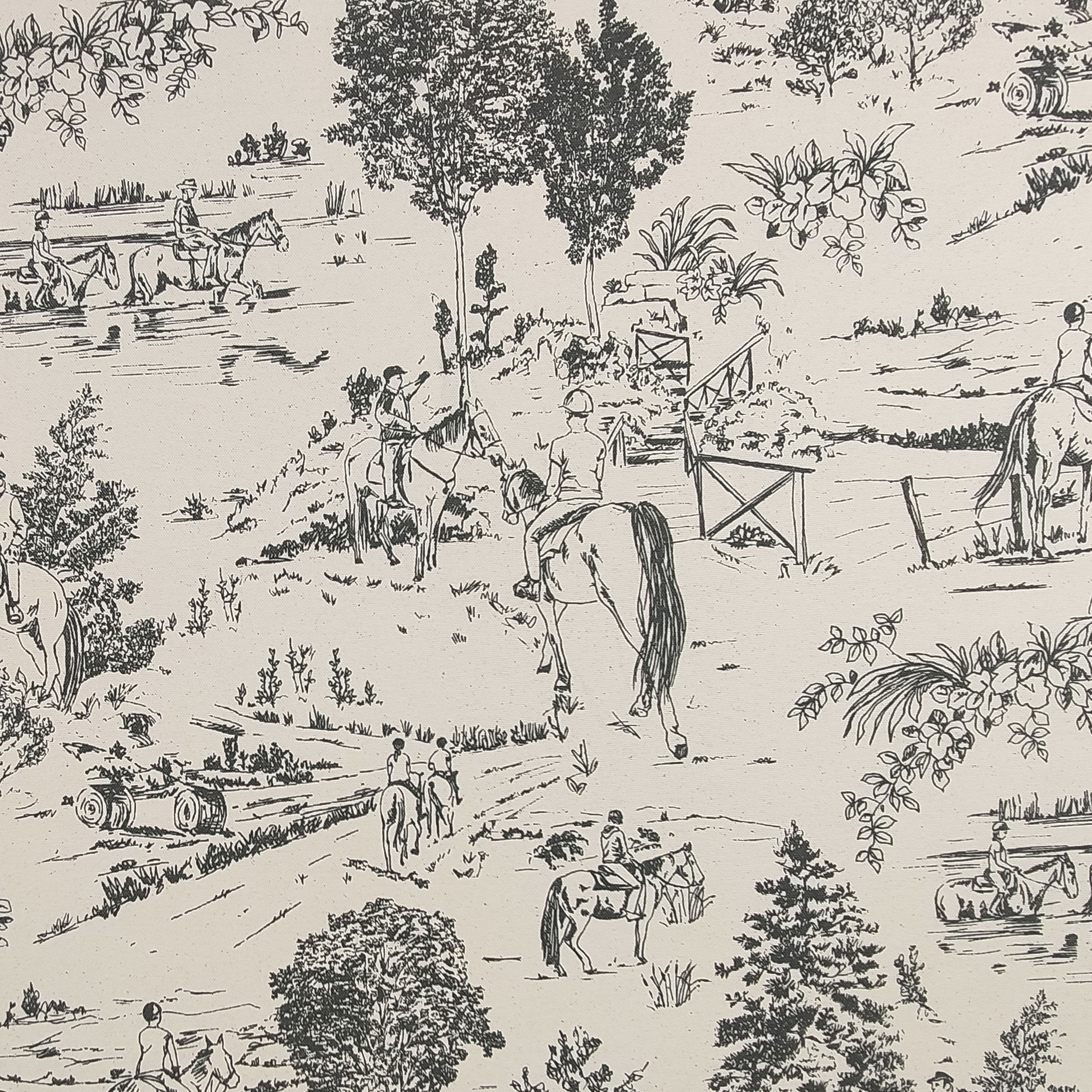 Toile De Jouy Natur Anthrazit