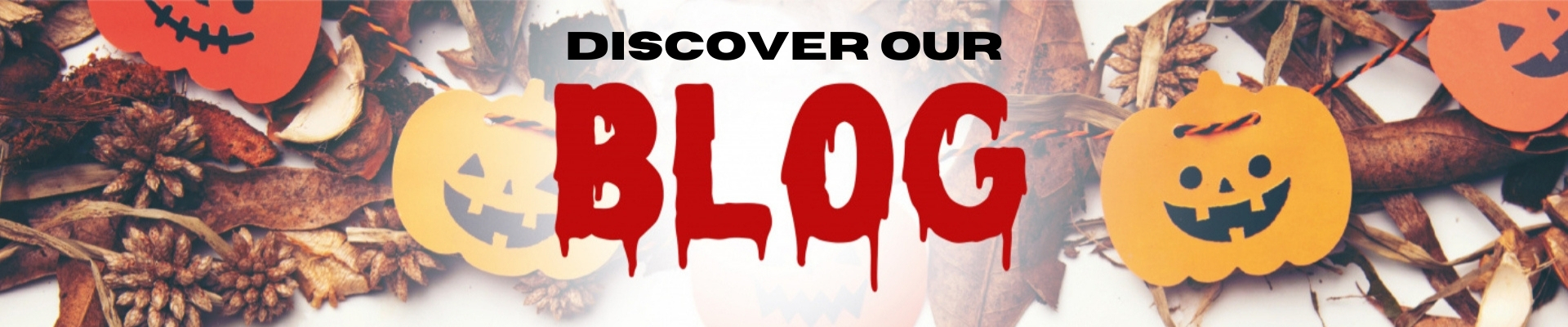 discover our blog