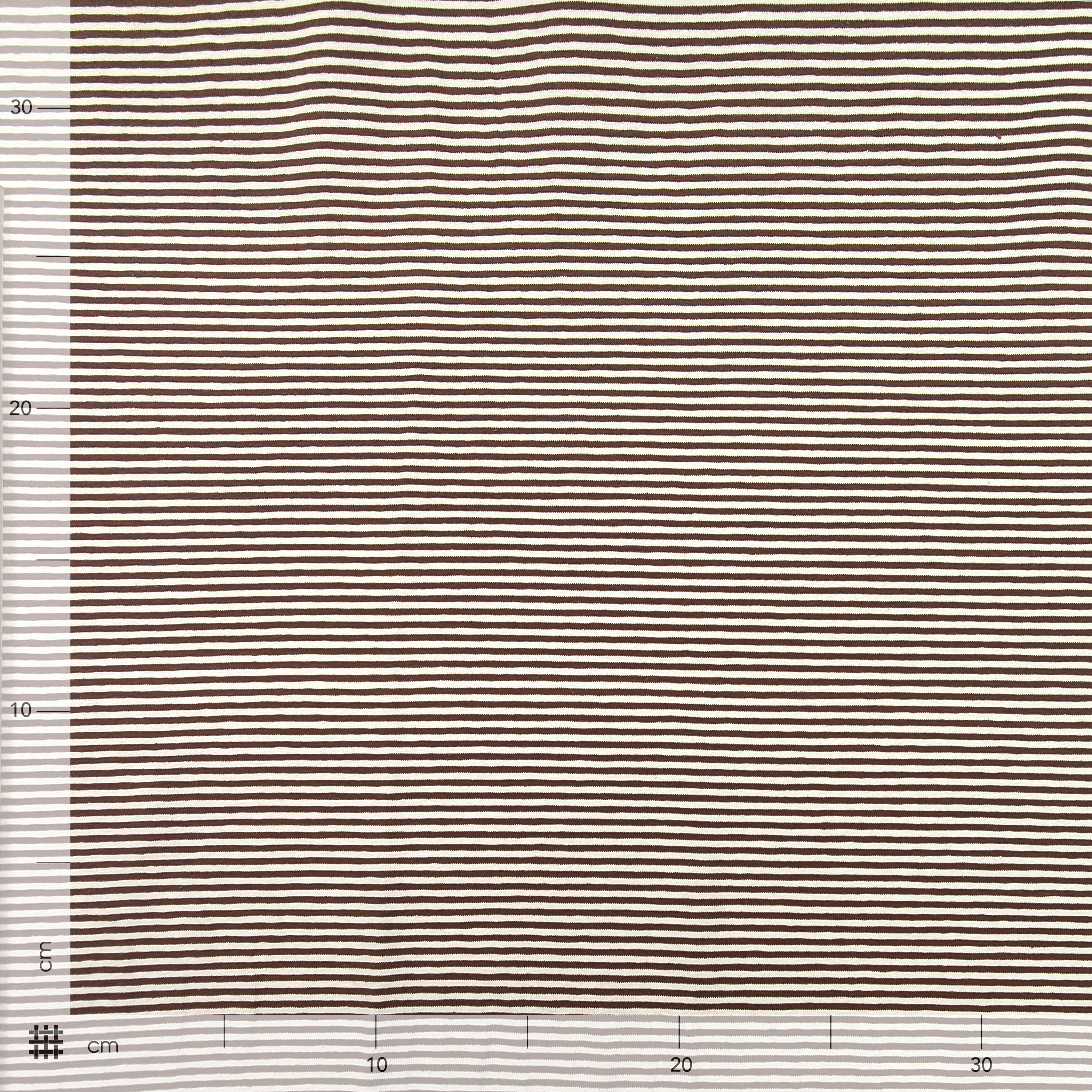 Yarn-dyed Jersey Cotton Coloured Stripes Image