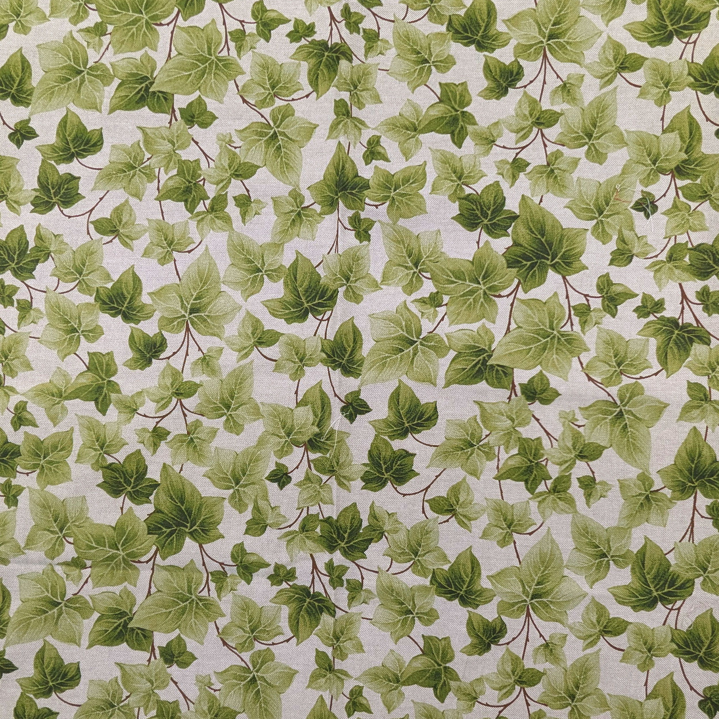 Tablecloth Packed with Ivy Image
