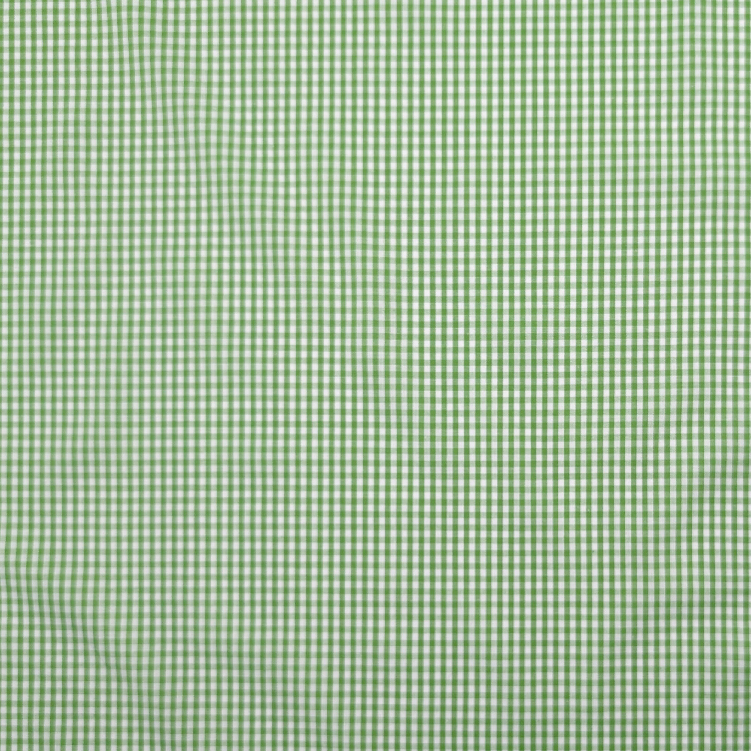 Light Green Quadrettini Shirting Cotton Image