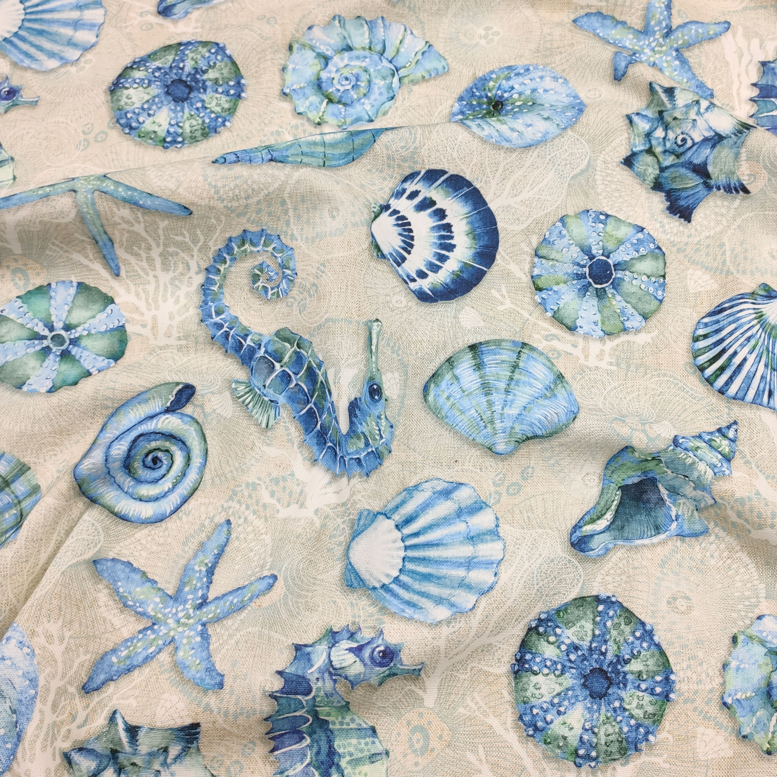 Panama Shells Beige Background