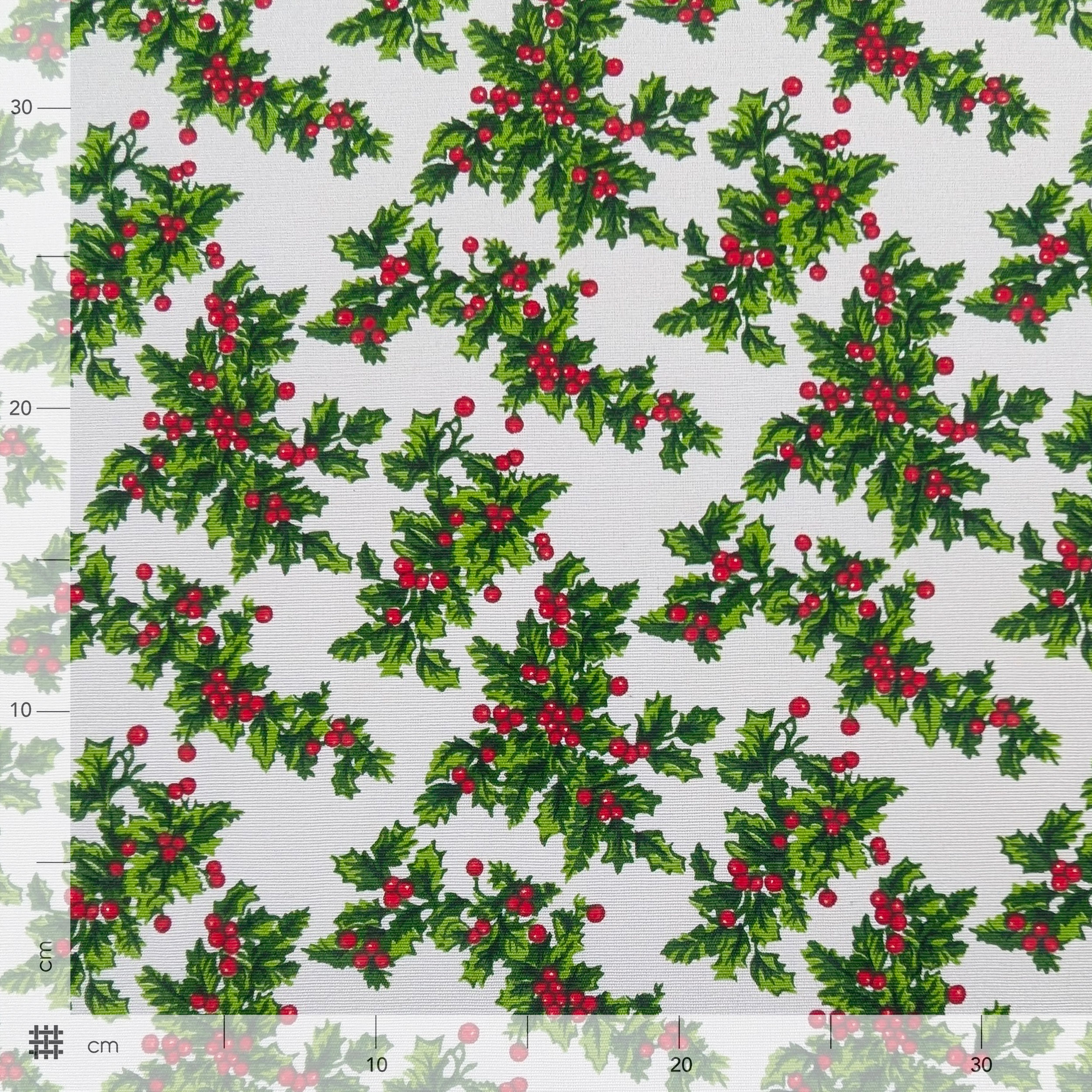 Panama with Christmas Shamrock Fantasy Image