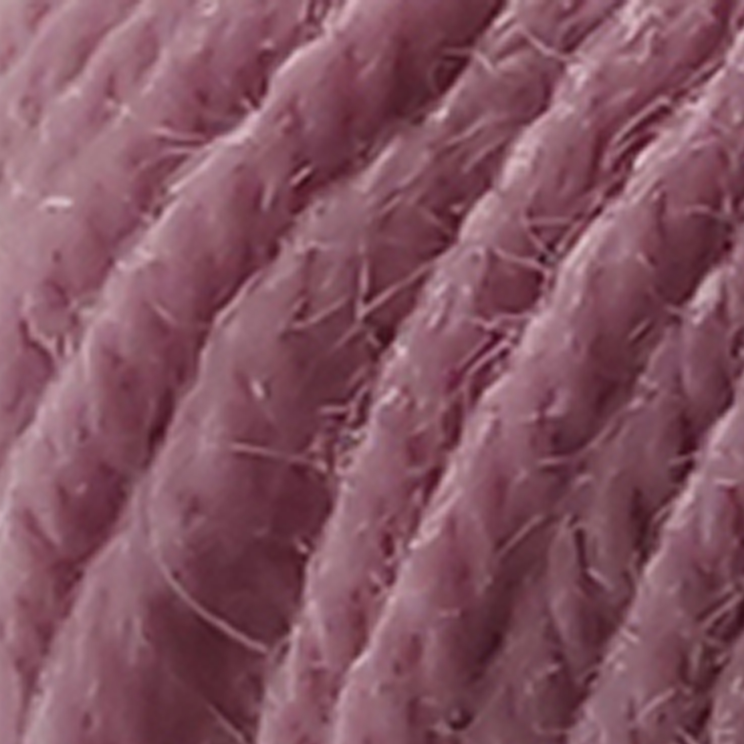 Rose - 9550