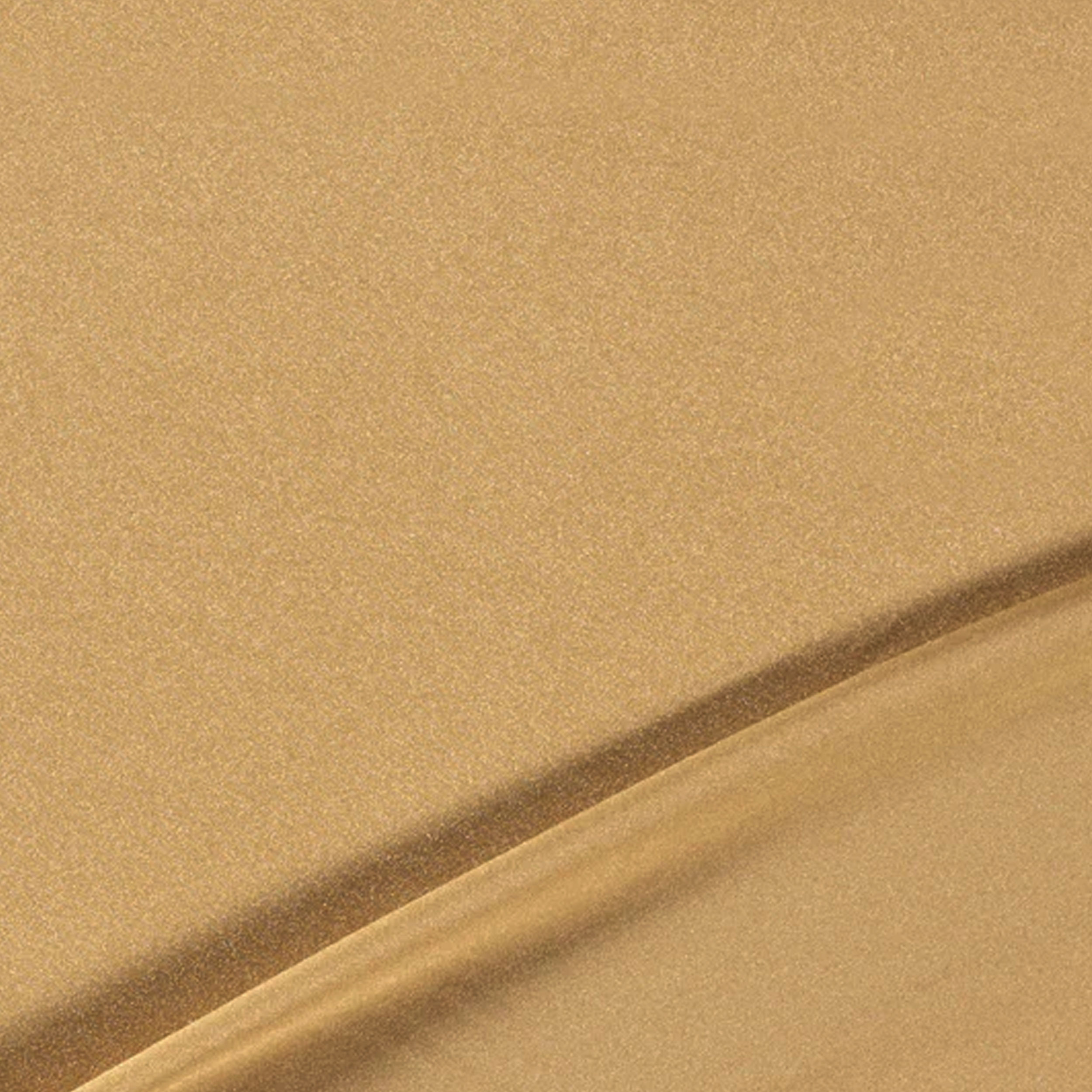 Lycra Lisa Image