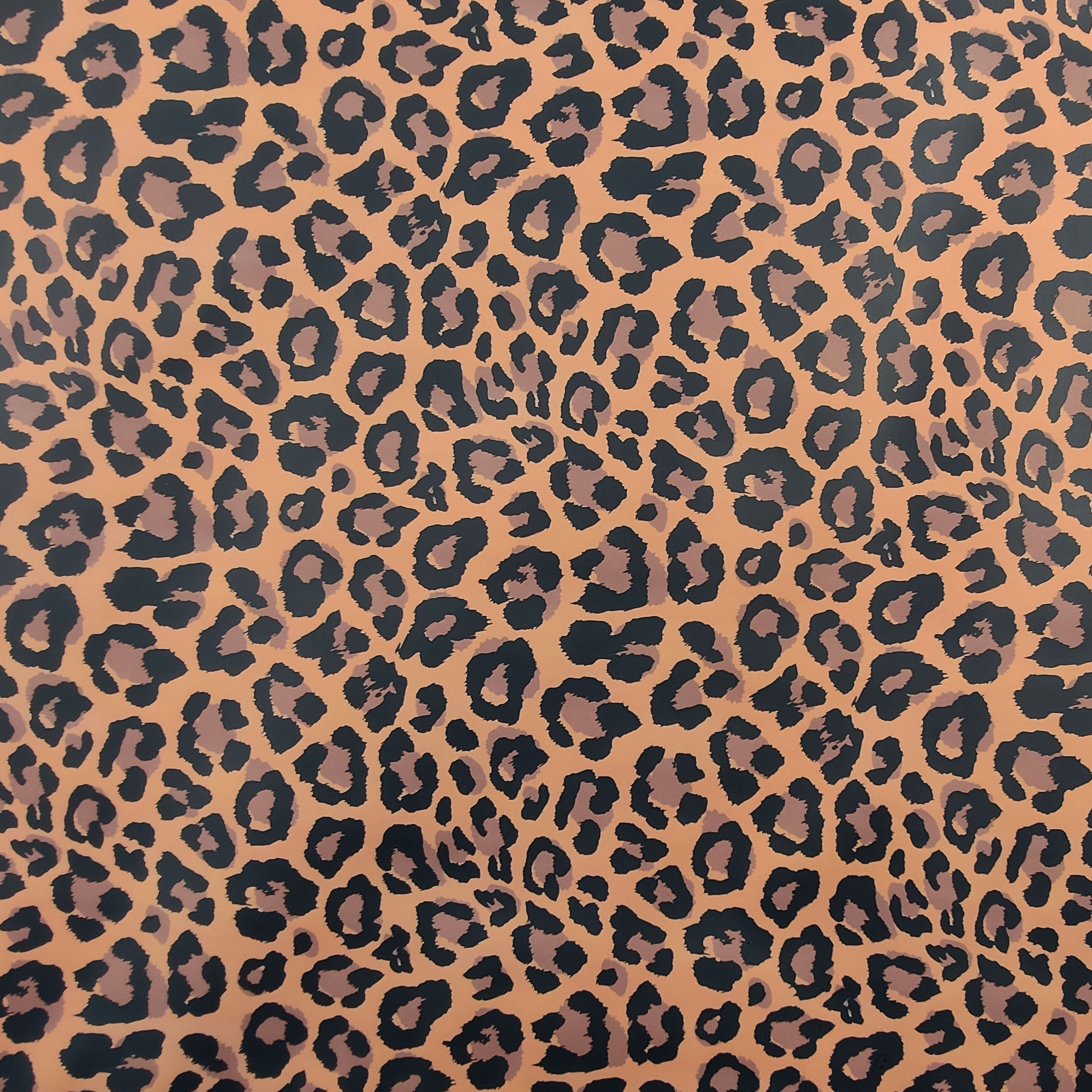 Leopard Pattern Raincoat