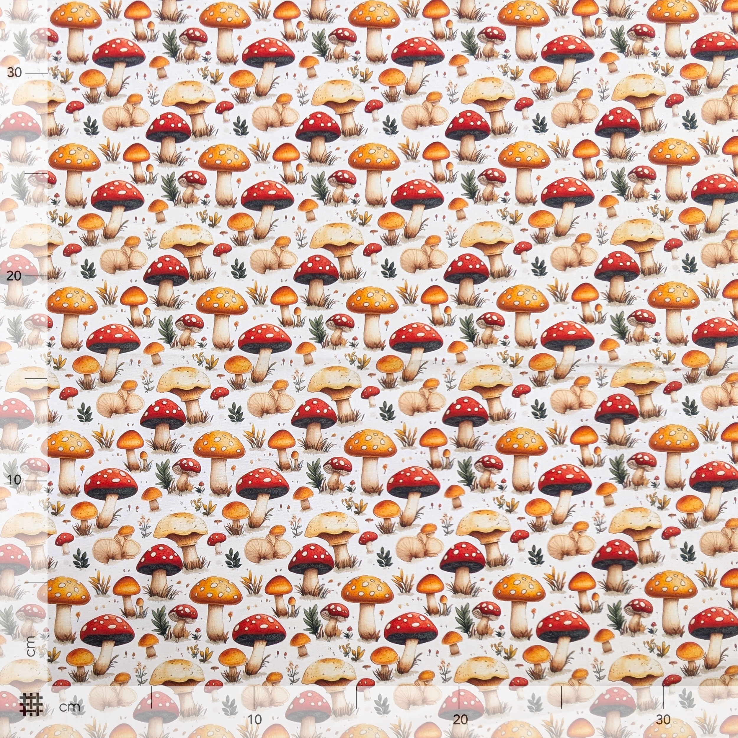 Poplin Cotton Mushroom White Background Image