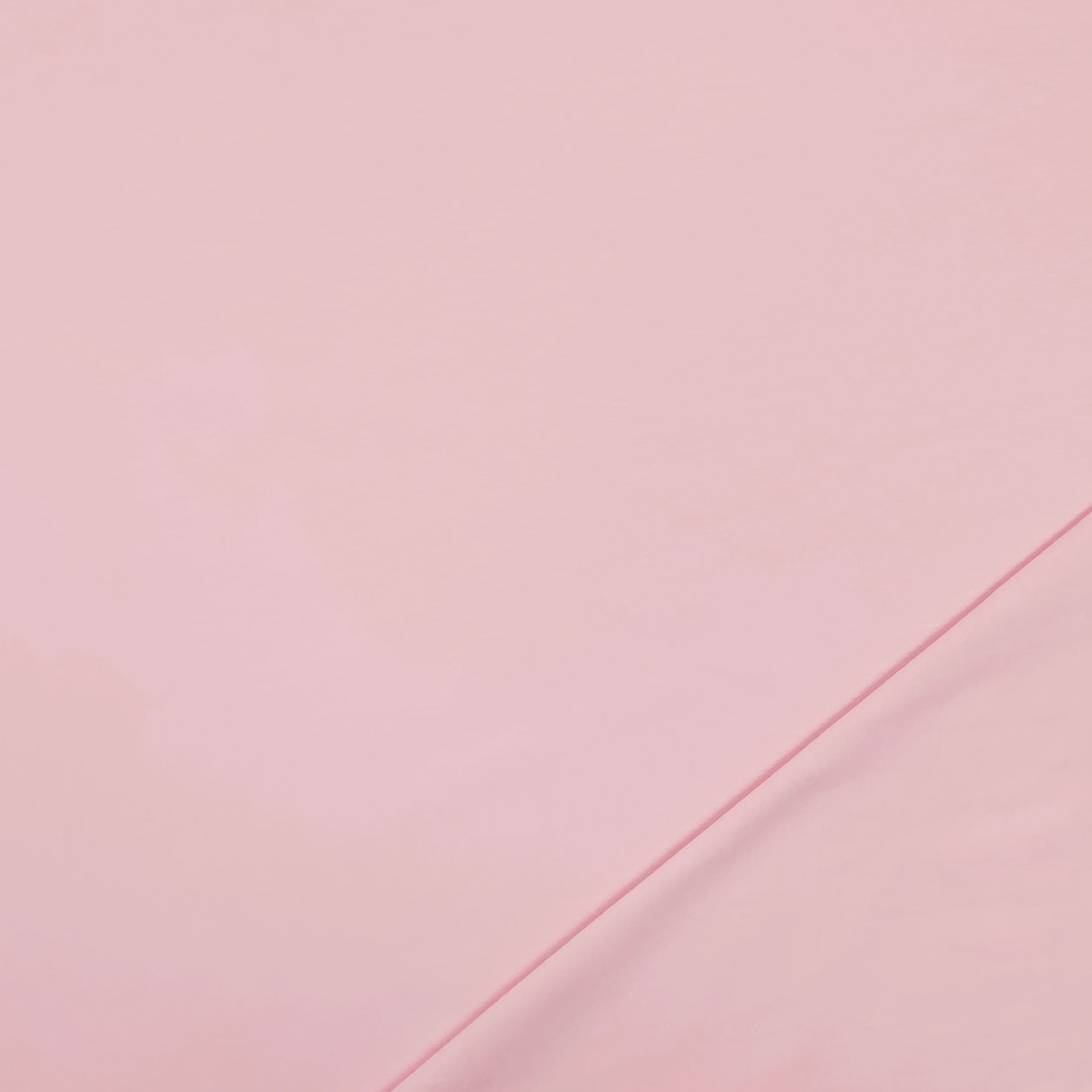 Unicolour Cotton Jersey Image