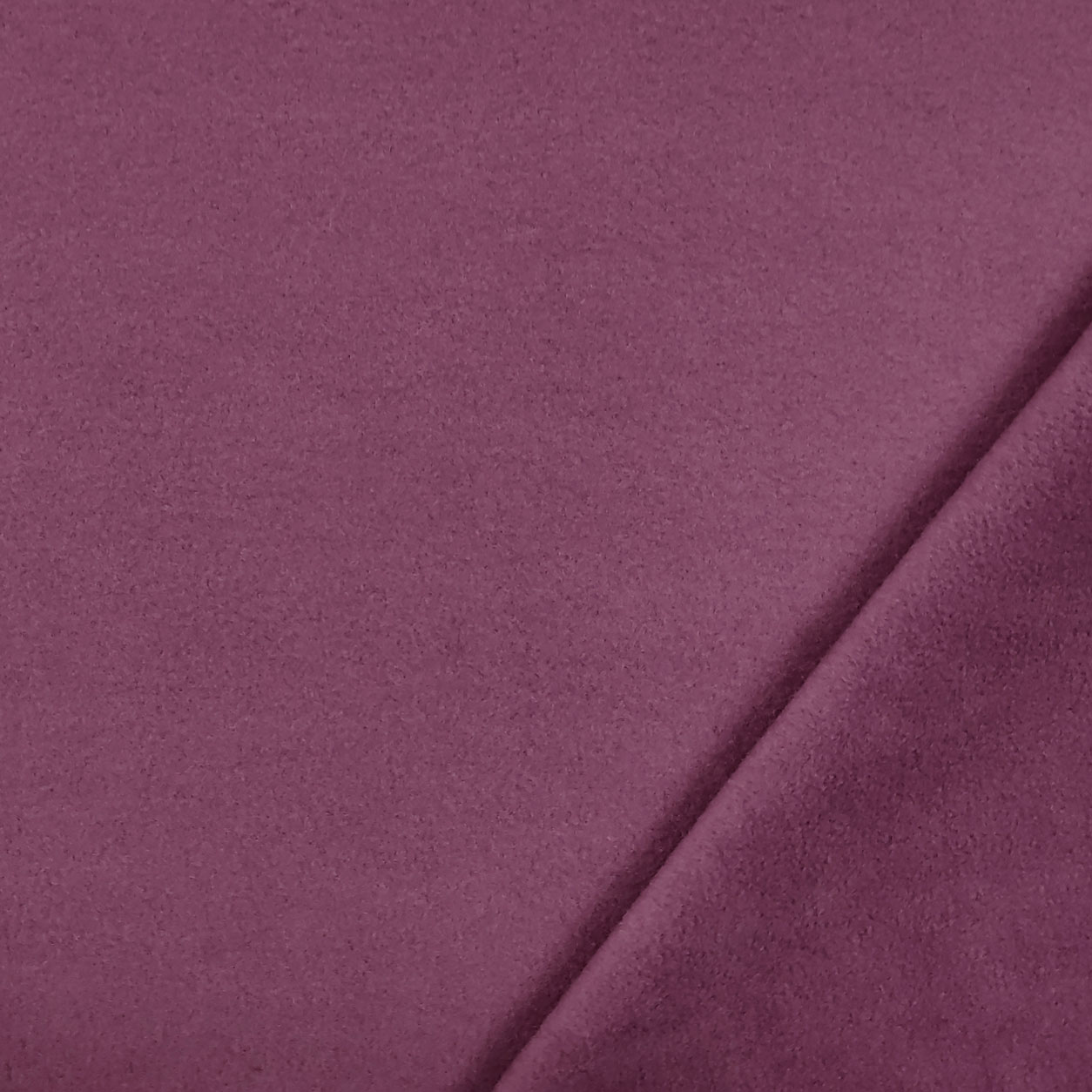 Polar Fleece  Image