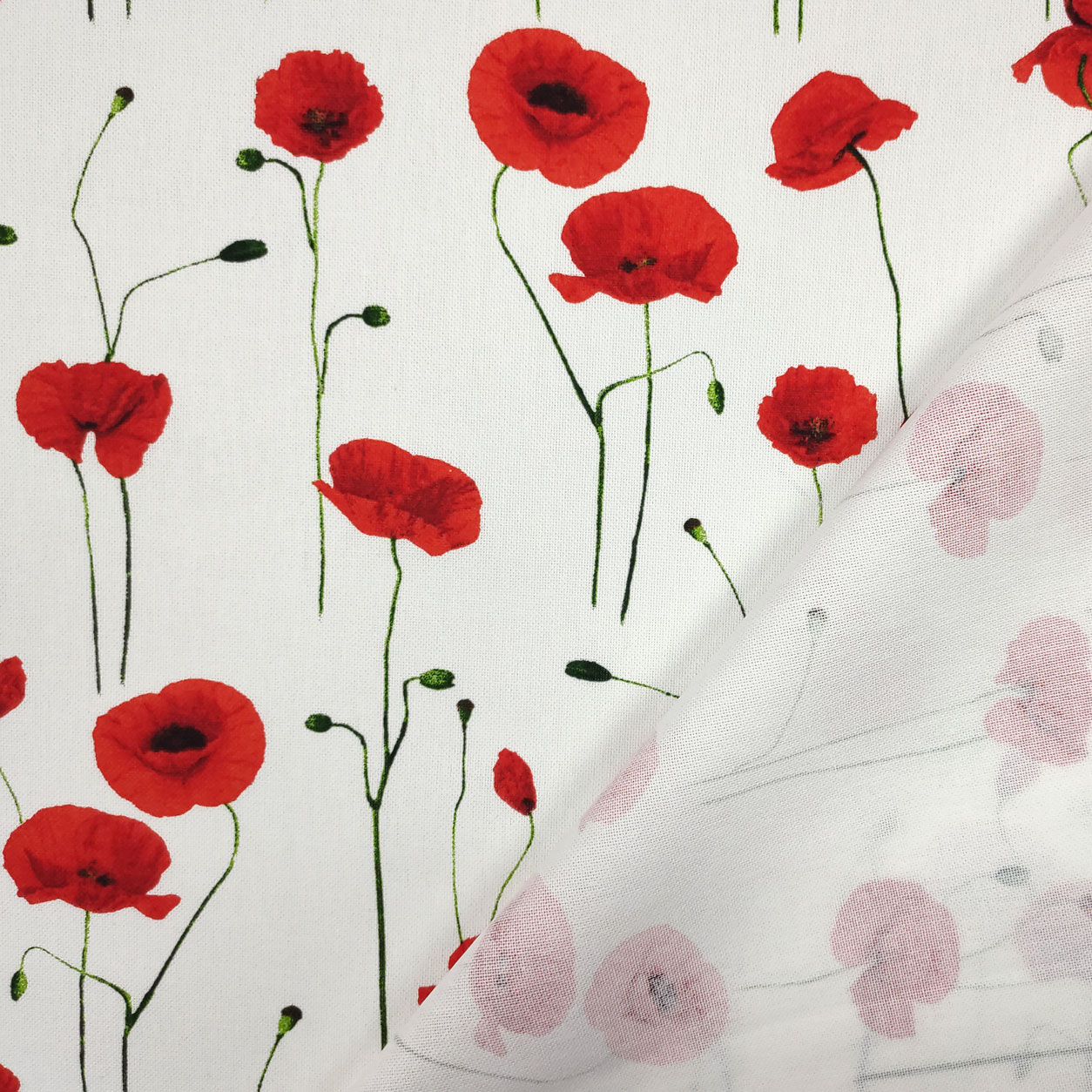 Panama Fabric Cotton Mix Poppies White Background Image