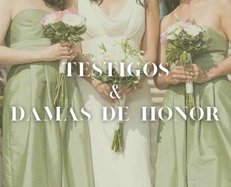 TESTIGOS E Damas de honor panini tessuti