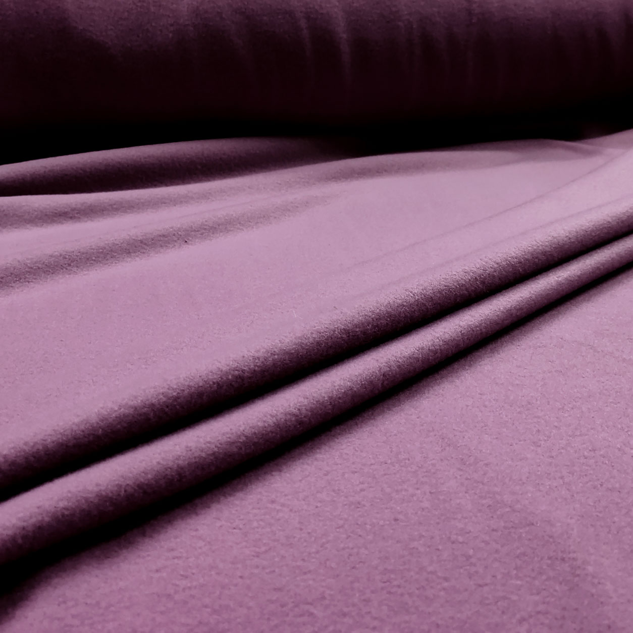 Polar Fleece  Image