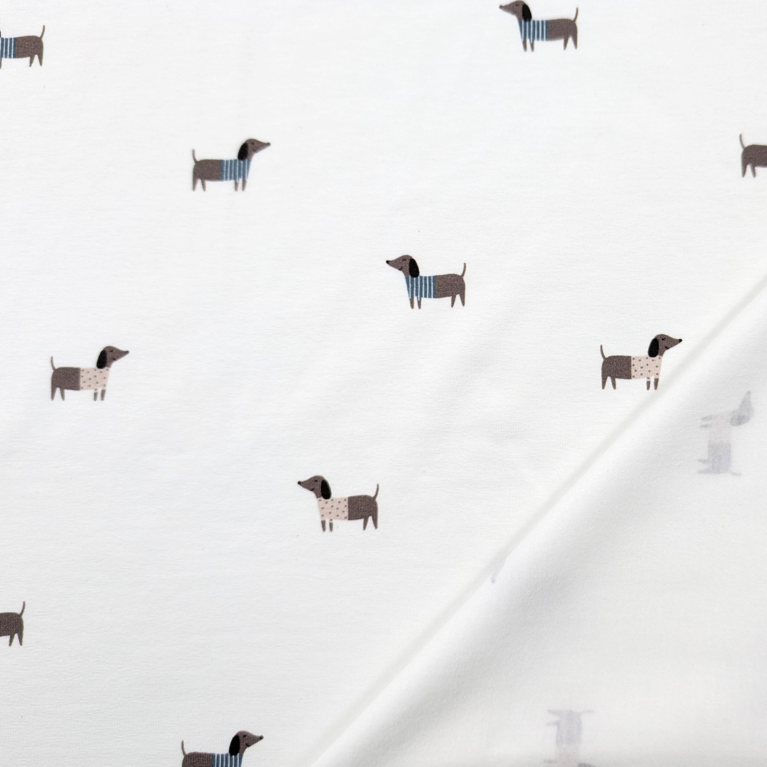 White cotton jersey Dolci Bassotti Image