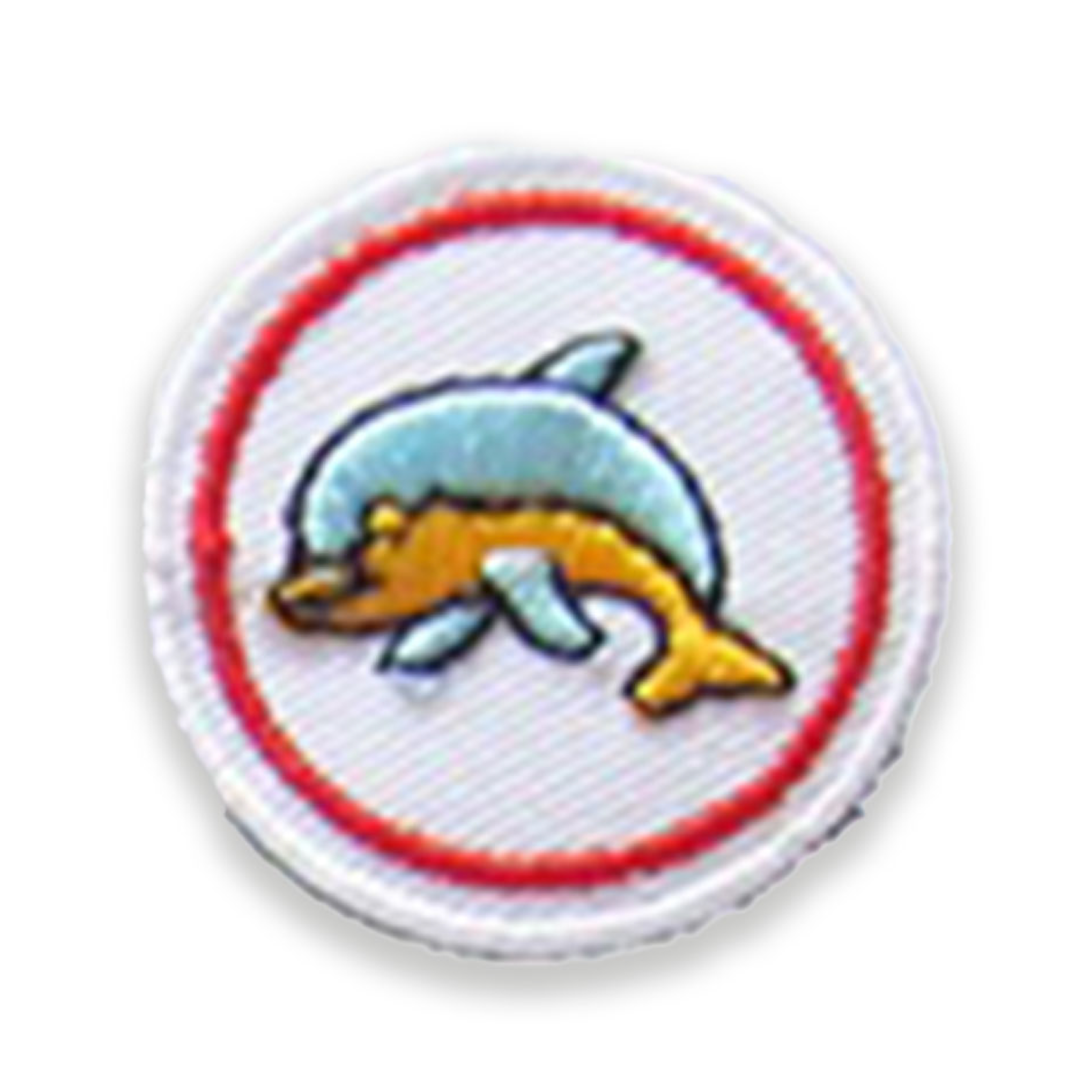 Dolphin