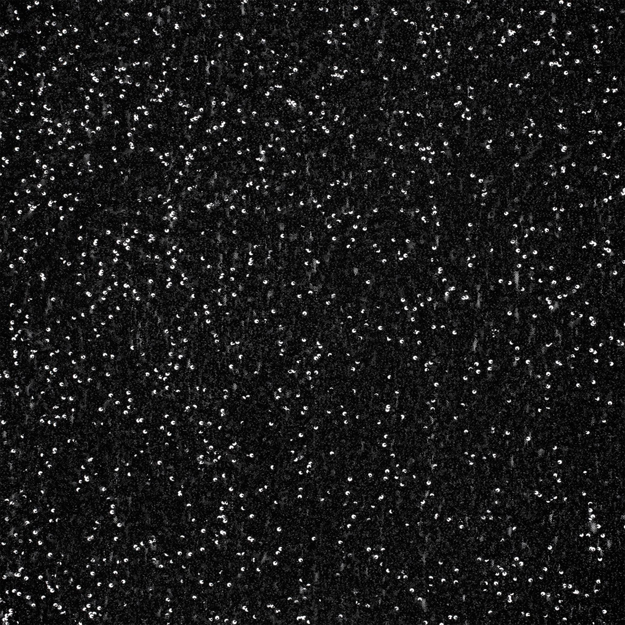 Sequins on Black Stretch Tulle Image