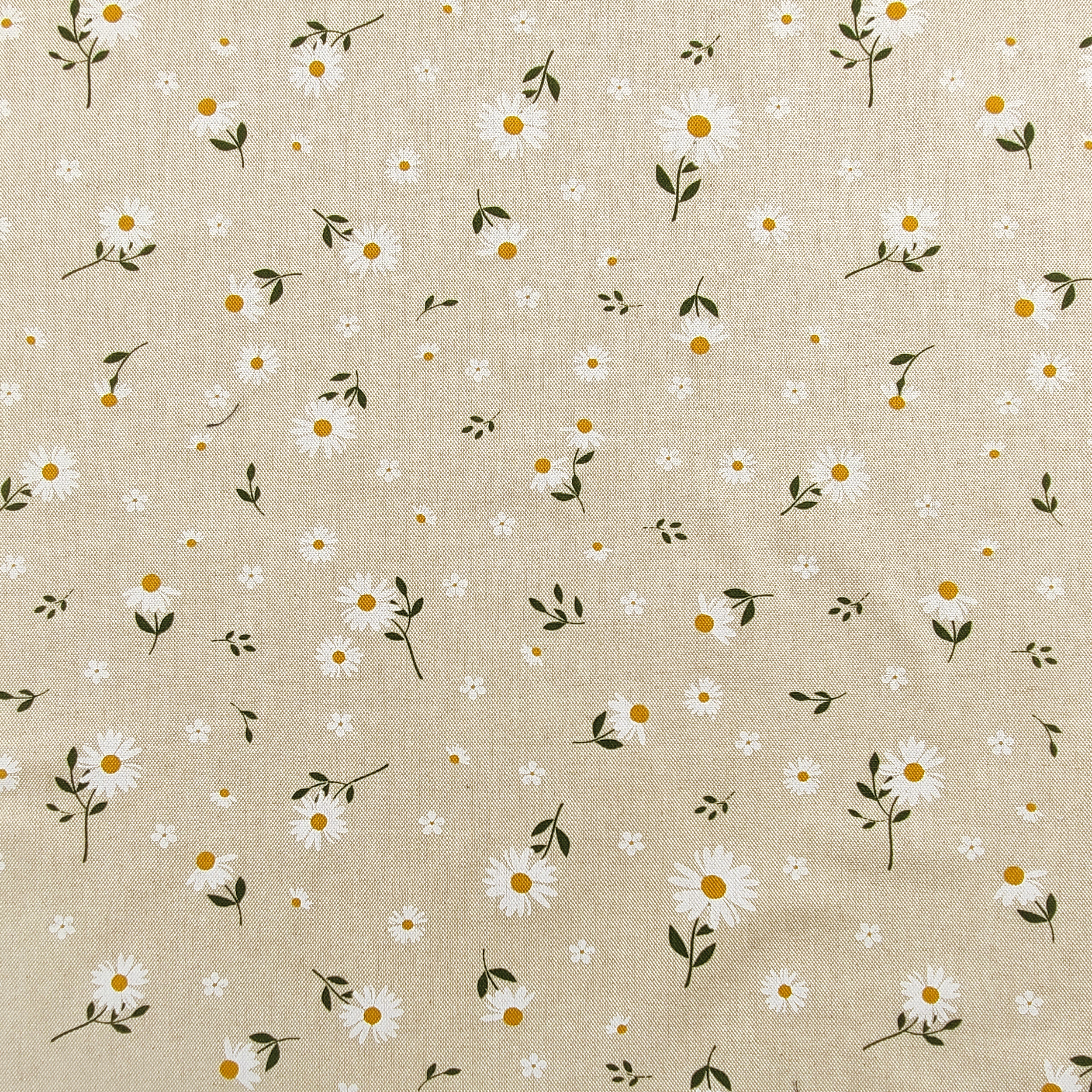 Baumwollmischung Gänseblümchen