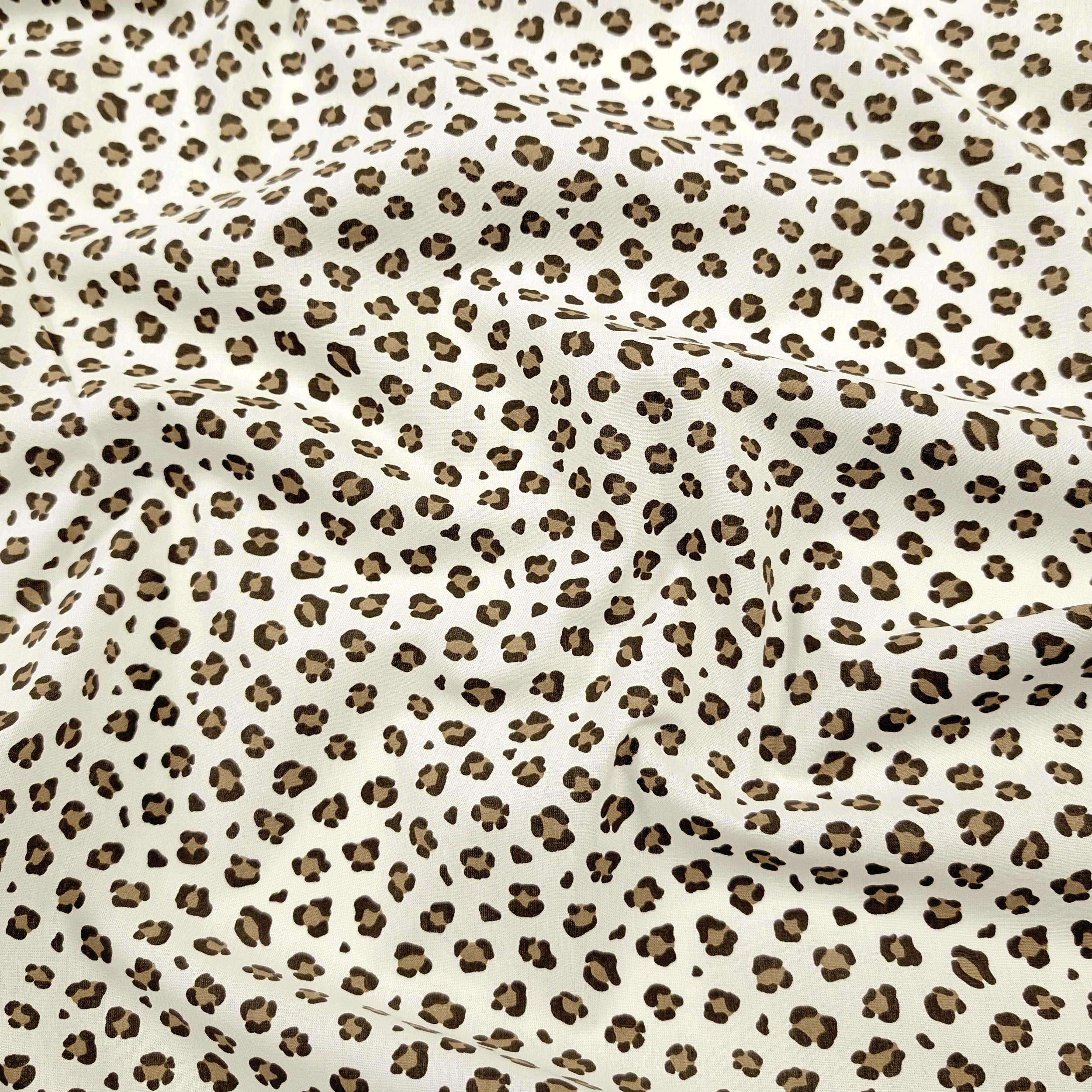 Spotted Cotton Poplin Image