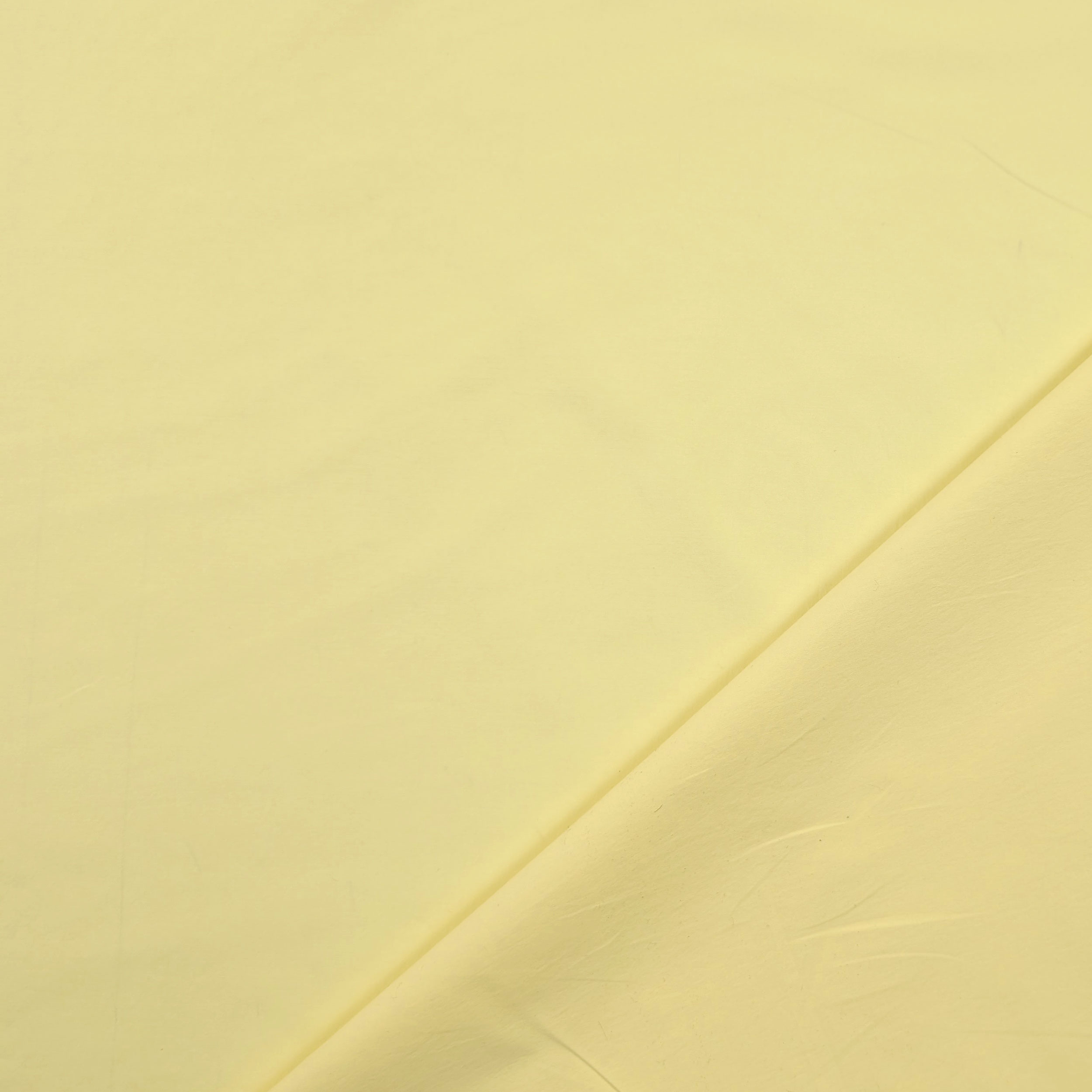 Yellow cotton Image