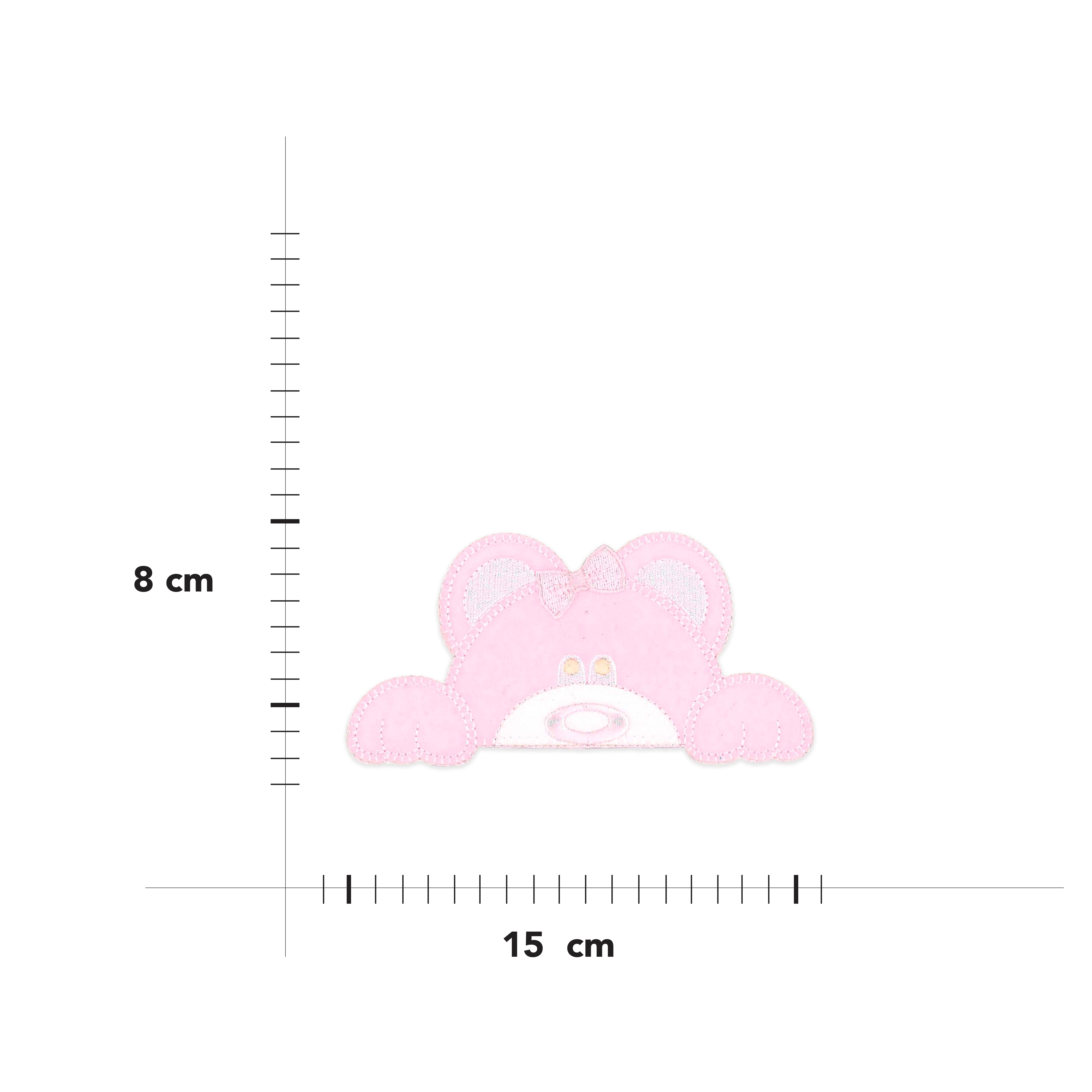 Teddy Bear Application Image