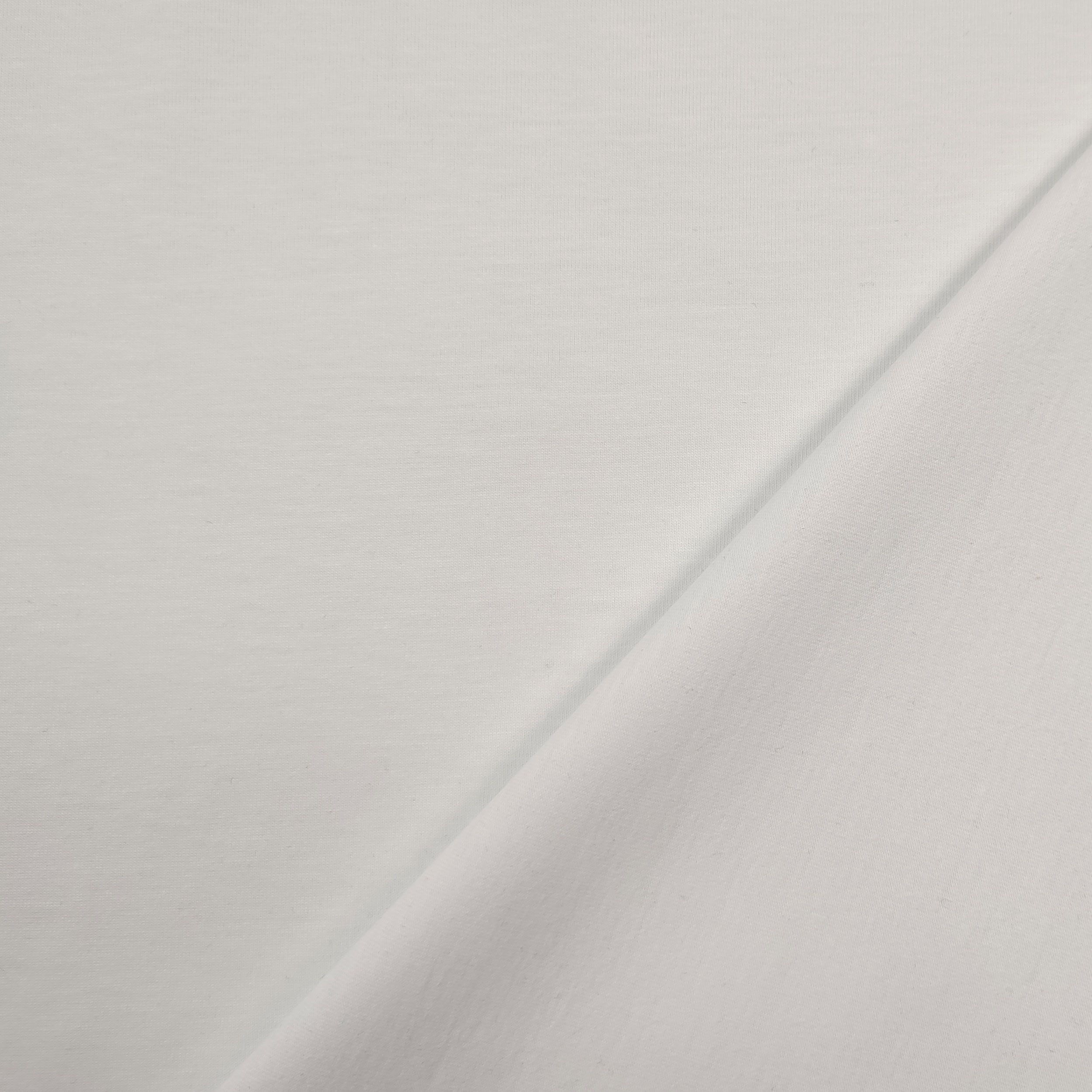 Cotton Jersey Unicolour Image
