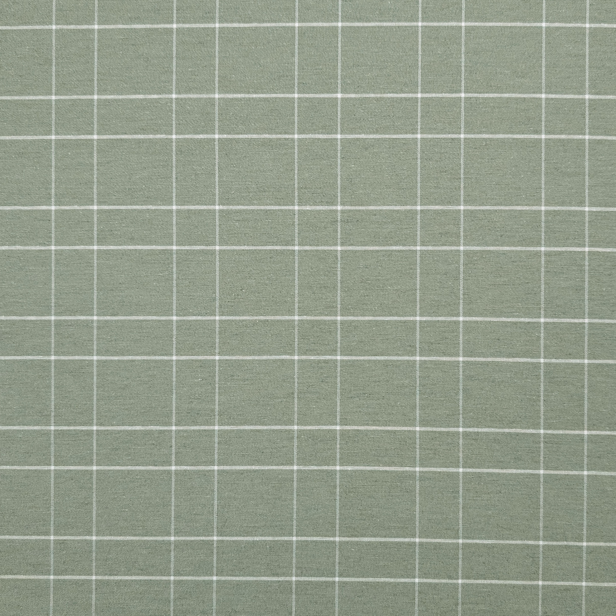 Sage Cotton Blend with White Checks Image
