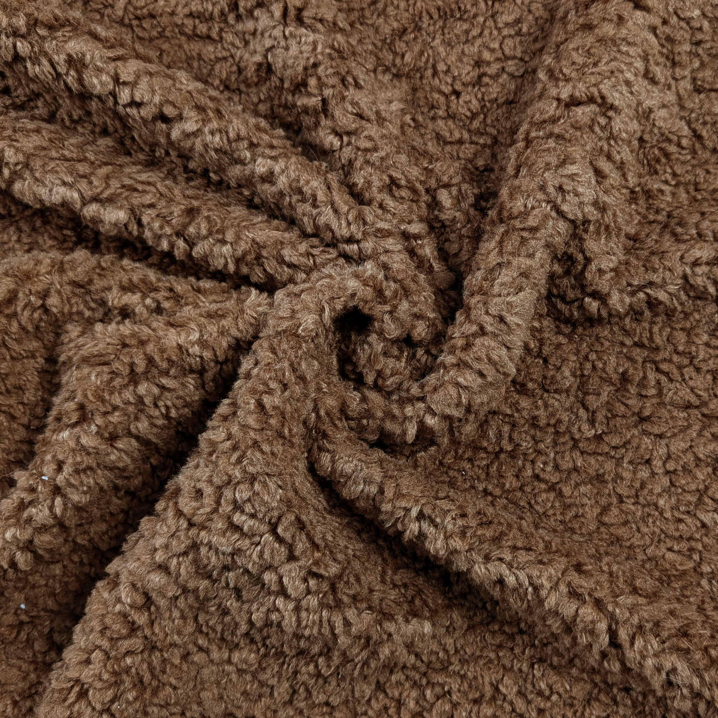 Fur Teddy Special Biscuit Image
