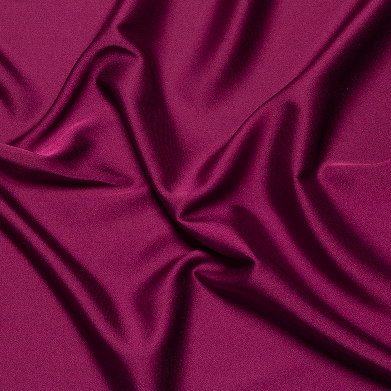 Orchidée - P242