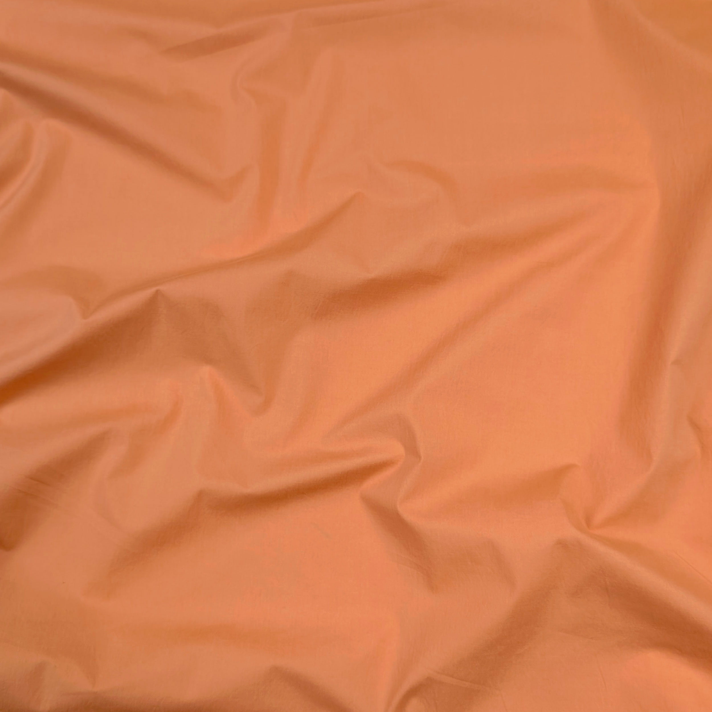 Light Orange Cotton Image