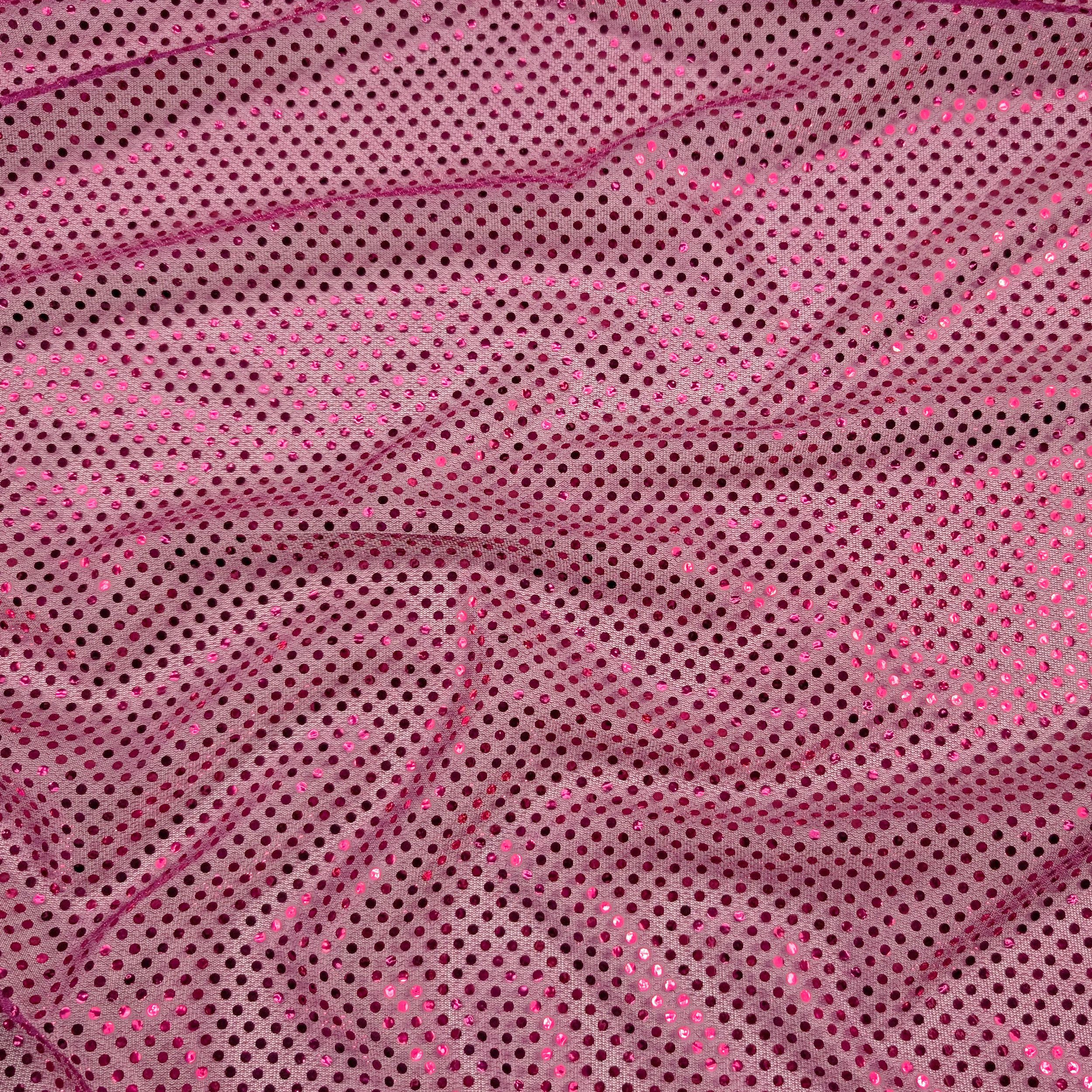 Fuchsia - H569