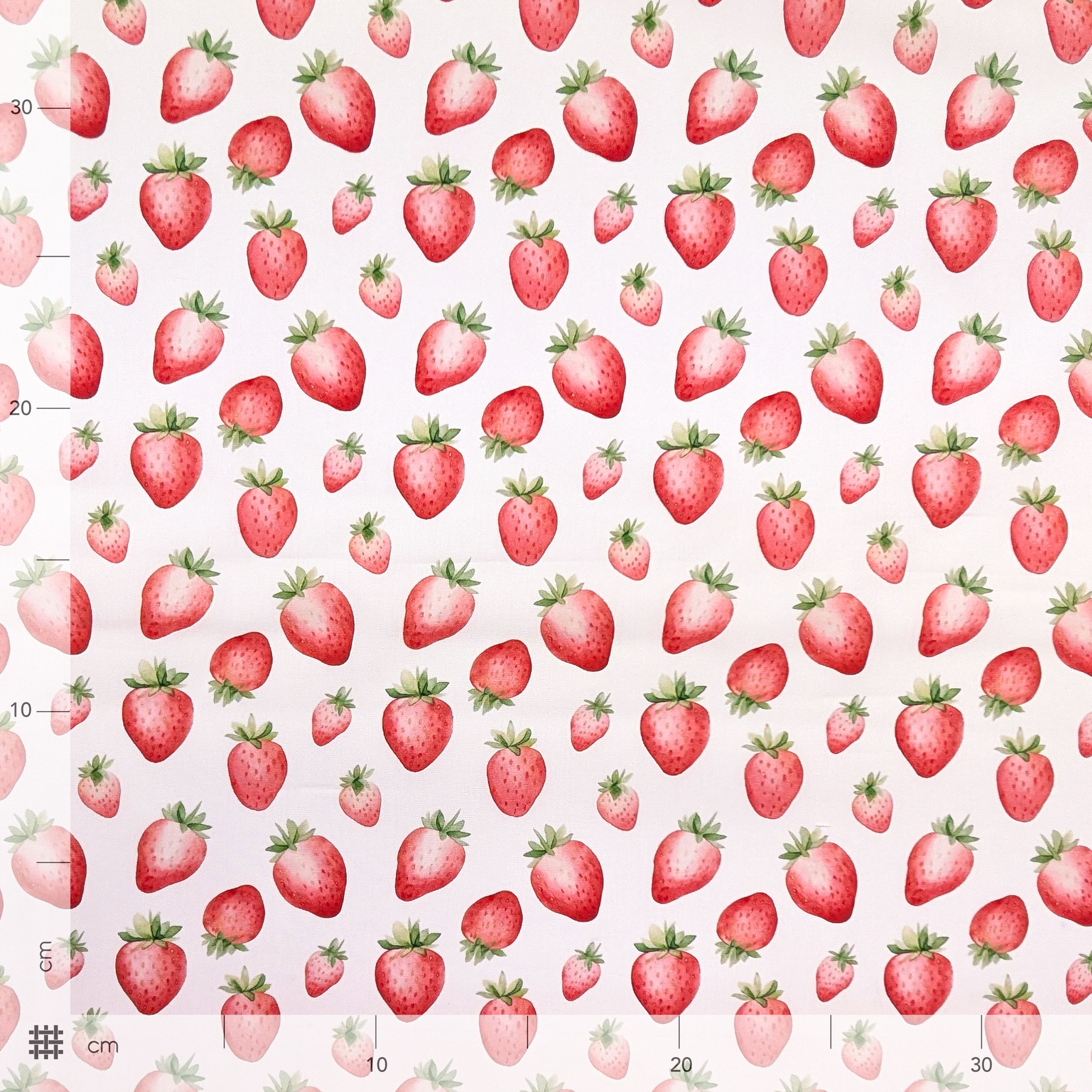 Poplin Cotton Strawberry White Background Image