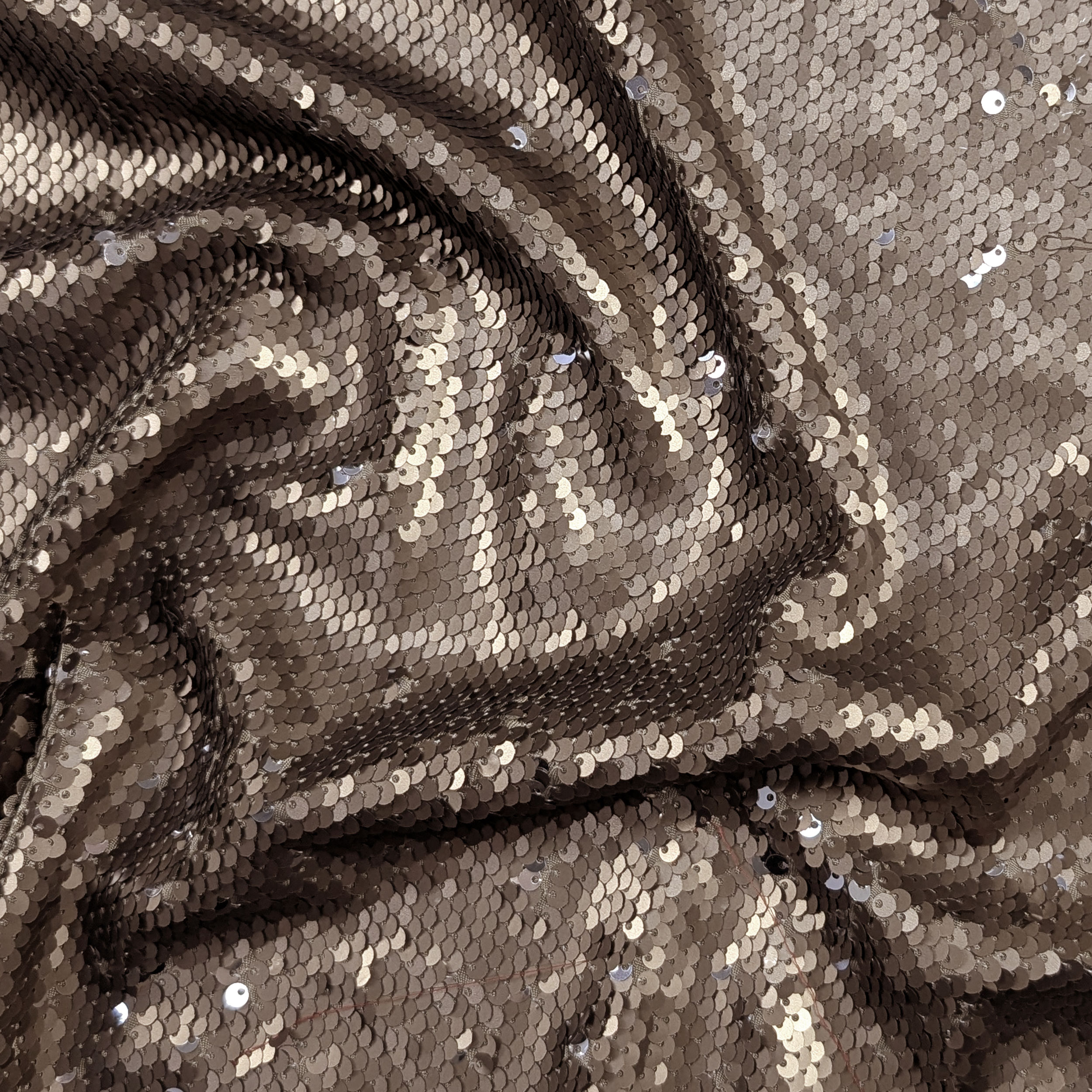 Bronze Sequins Silver Image