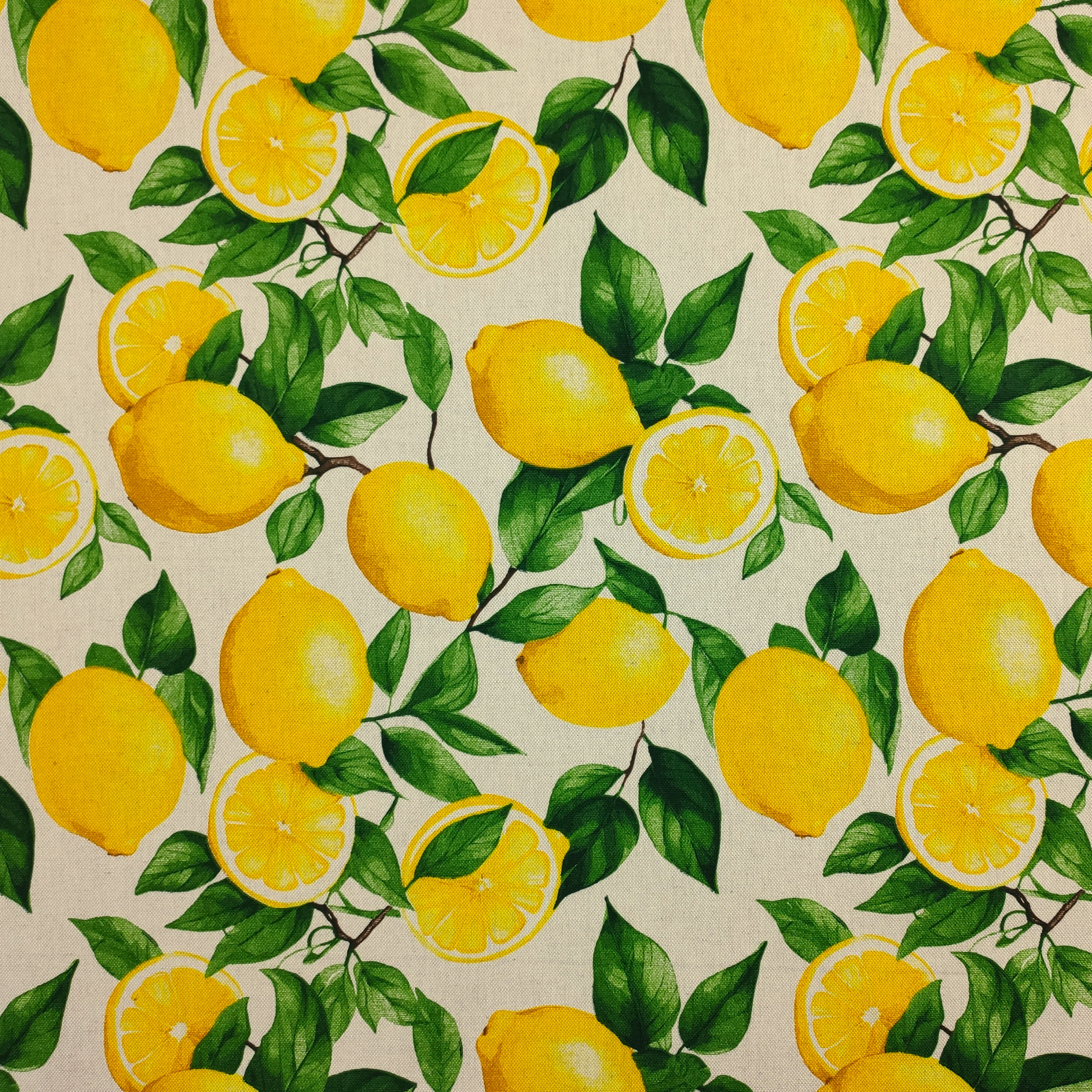 Panama Lemons Background Beige