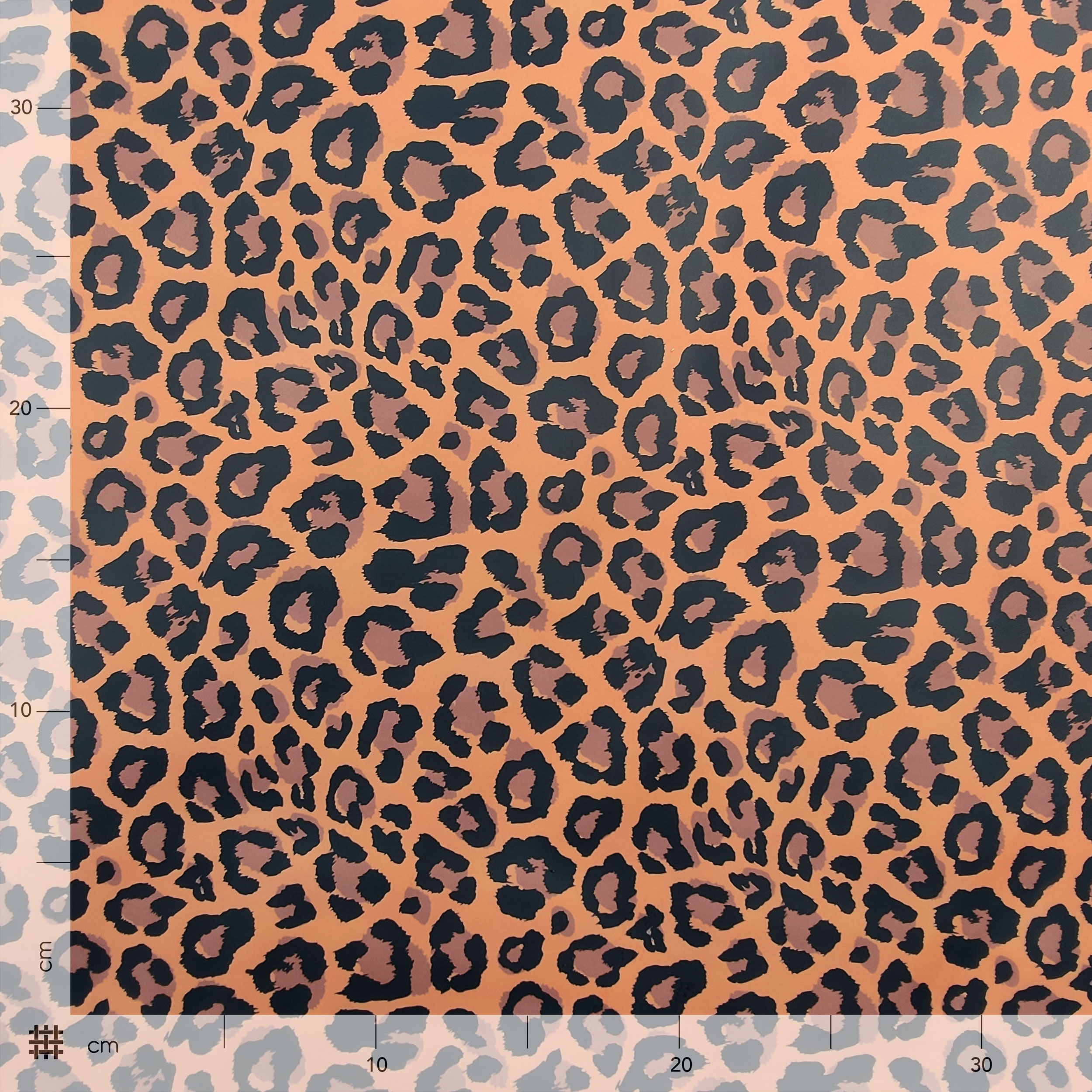 Leopard Pattern Raincoat