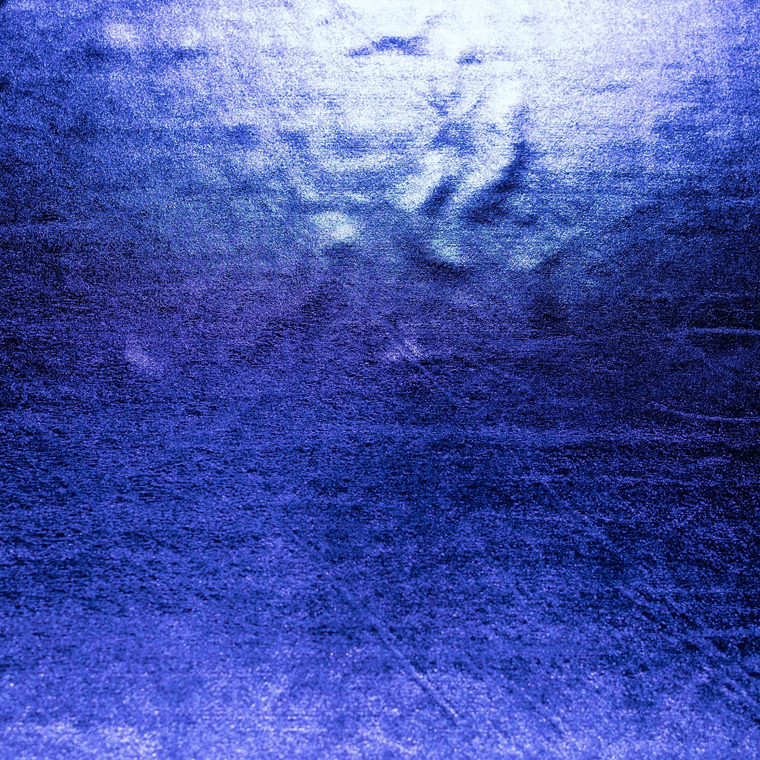  Tejido de Lycra Efecto Metálico Especial Image