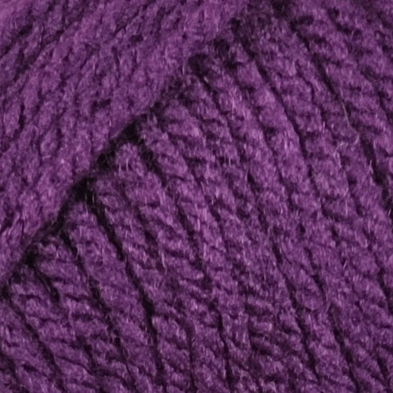Violet - 1655