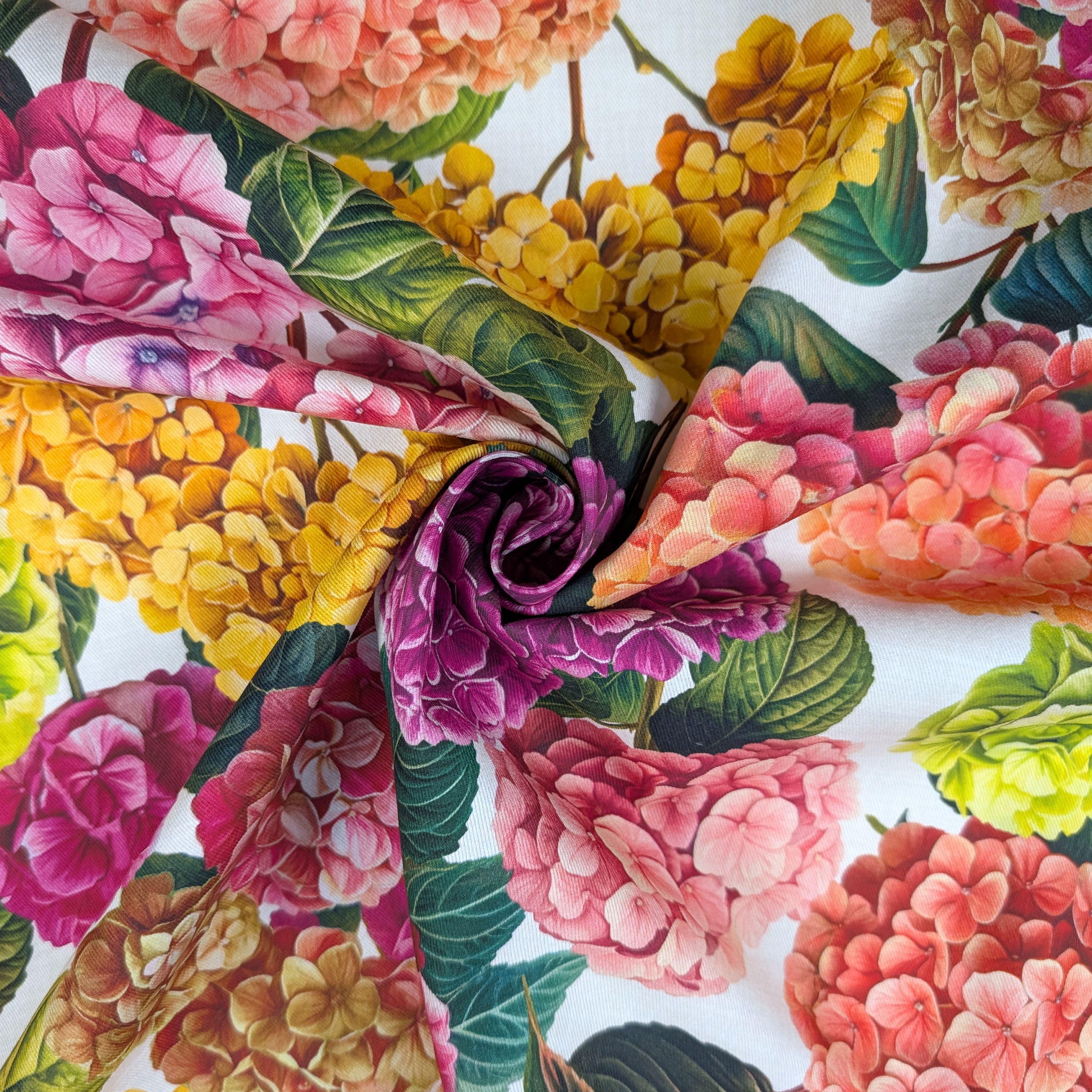 Panama Hydrangeas Pink and Yellow Tones Image
