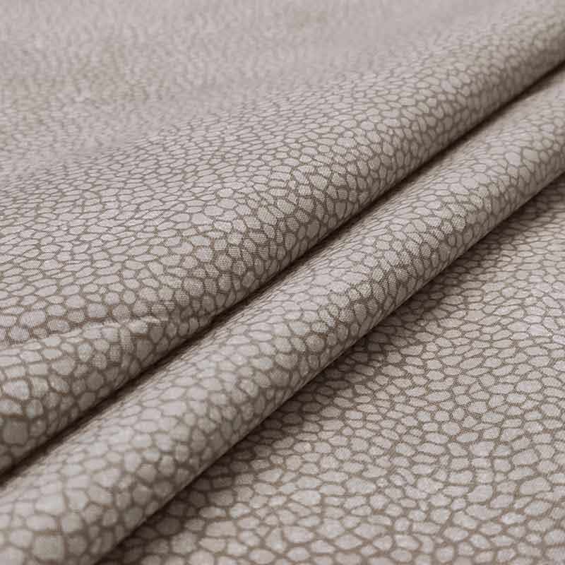 Turtle dove - 13