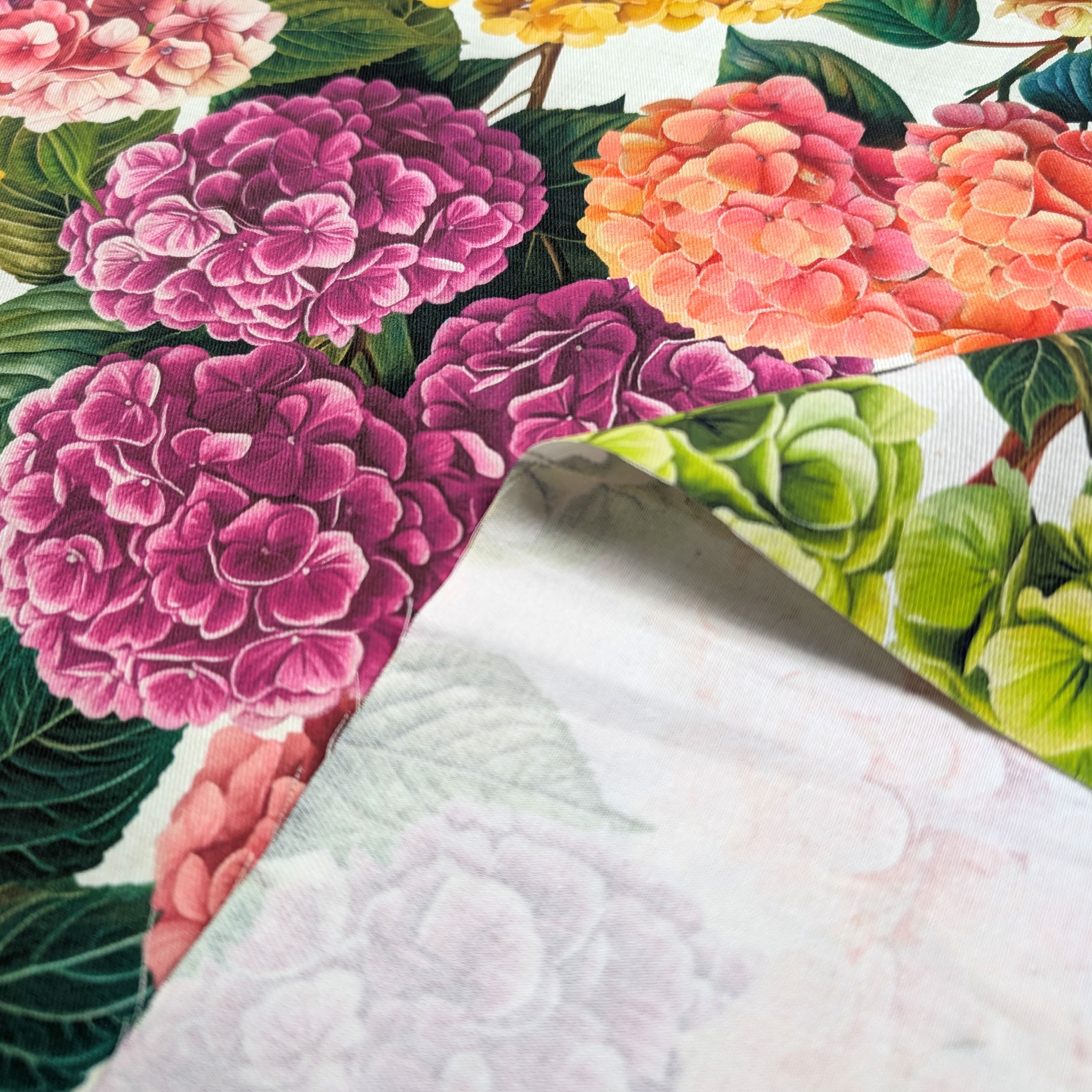 Panama Hydrangeas Pink and Yellow Tones Image