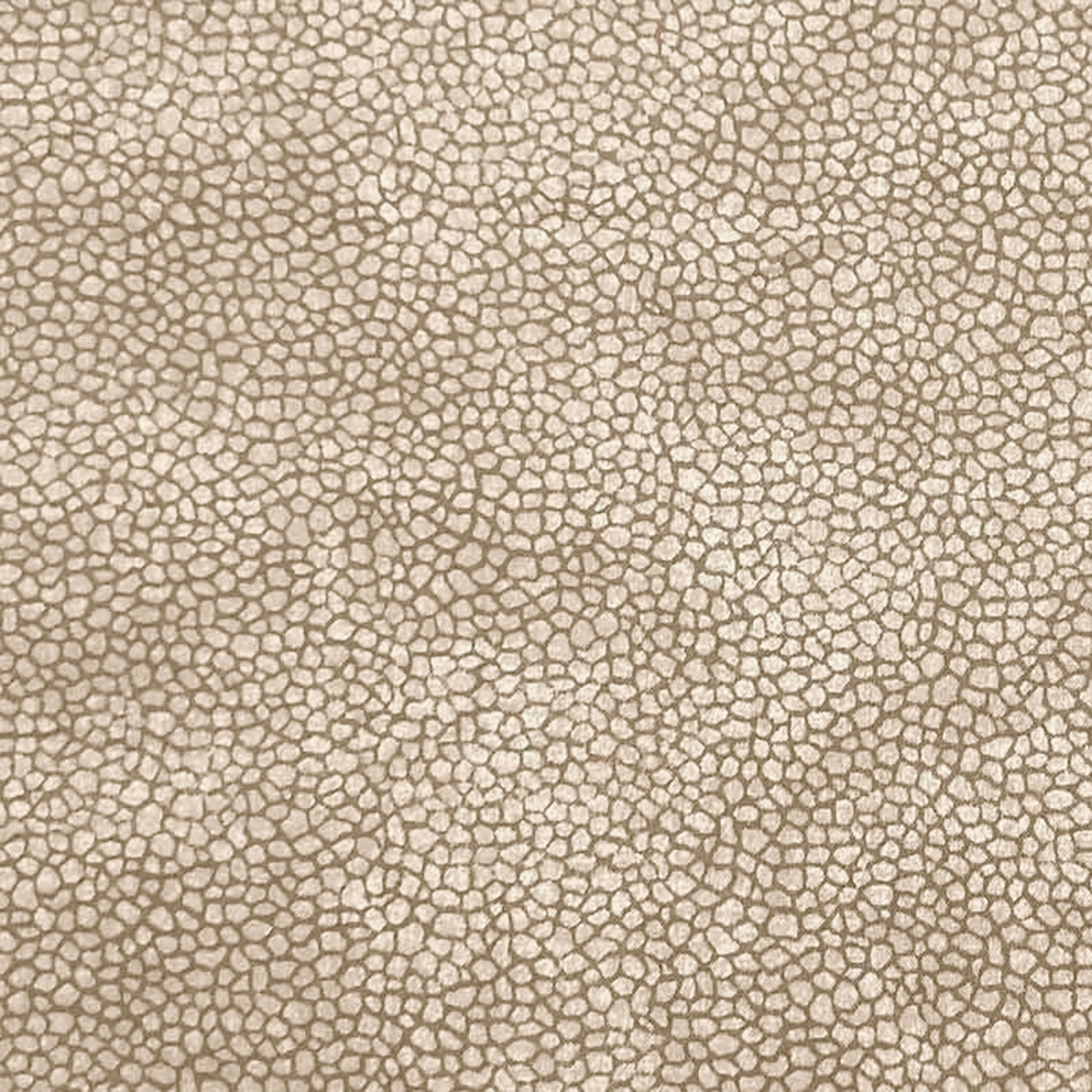 Tessuto Cotone Sassolini Image